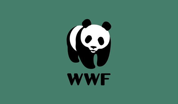 WWF - Değişim için Ortak Hareket Komitesi
