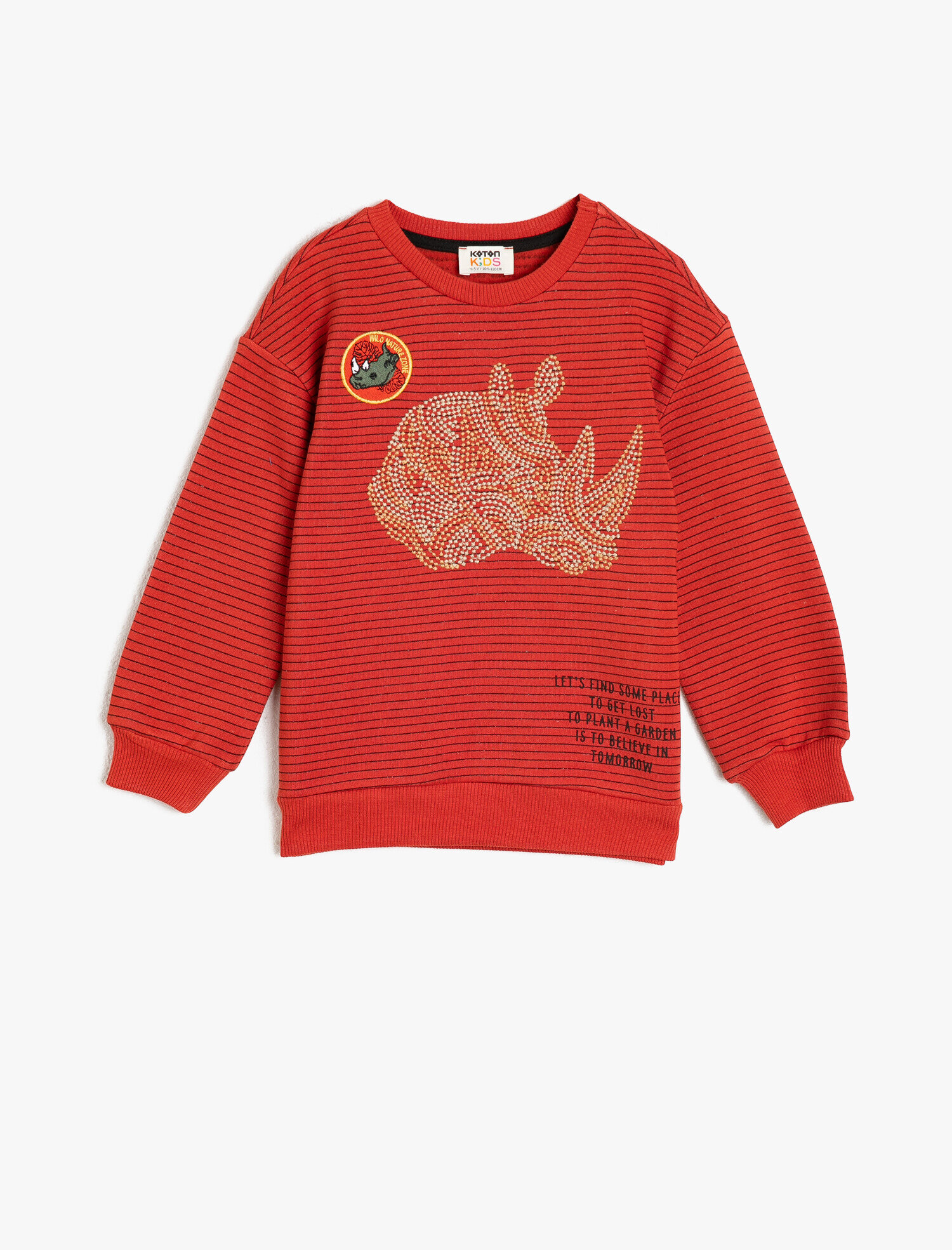  Erkek Çocuk Çizgili Kumaştan Nakışlı ve Ribanalı Bisiklet Yaka Sweatshirt
