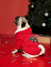 Pamuklu Kapüşonlu Köpek Sweatshirt