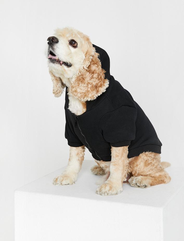  Fermuar Detaylı Köpek Sweatshirt