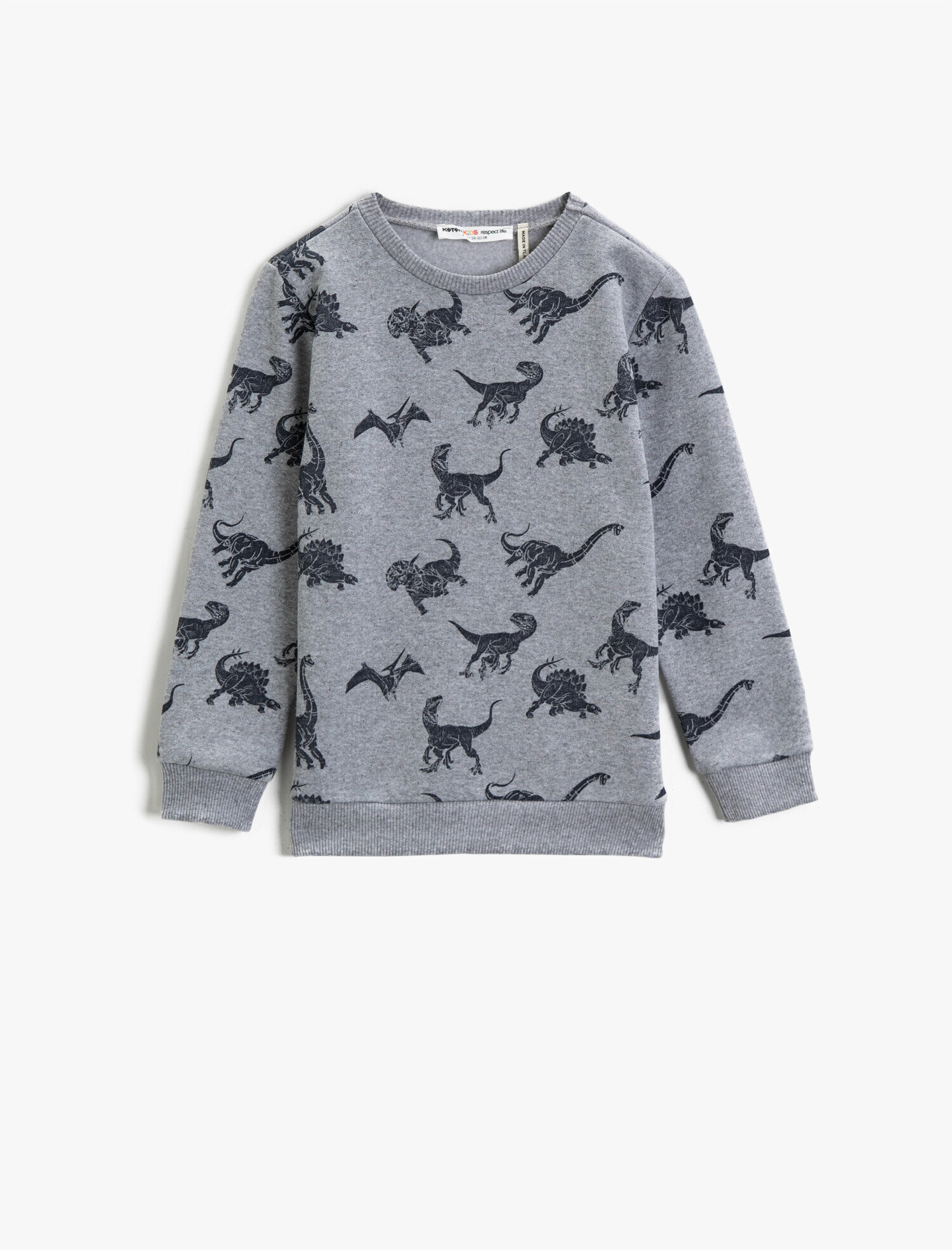  Erkek Çocuk Dinozor Baskılı Sweatshirt Pamuklu