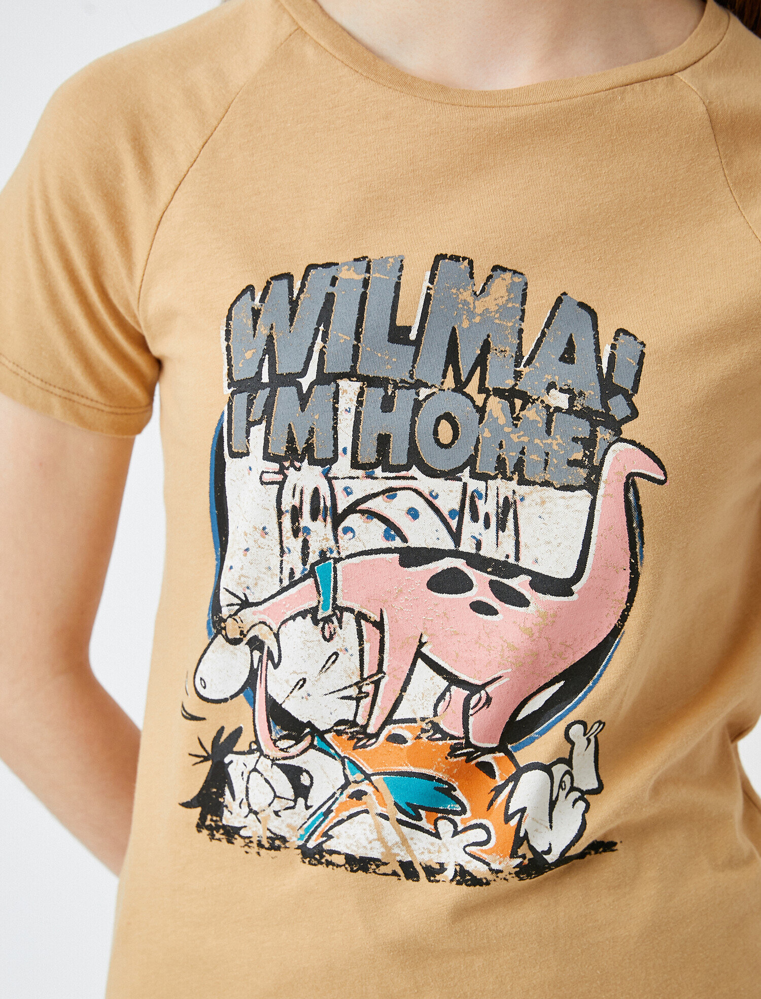   Çakmaktaşlar Tişört Lisanslı Pamuklu