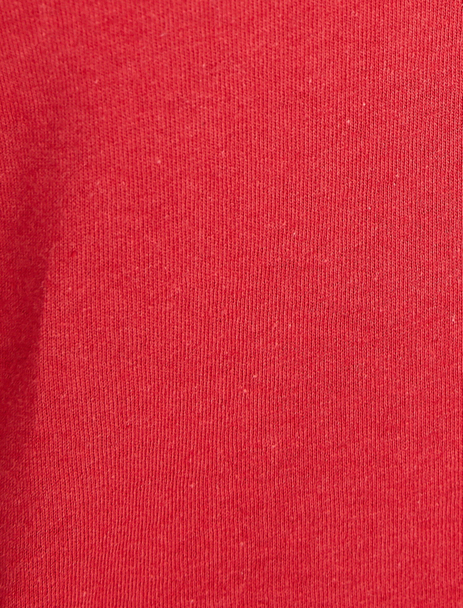   Bisiklet Yaka Slogan Baskılı Kısa Kol Tişört