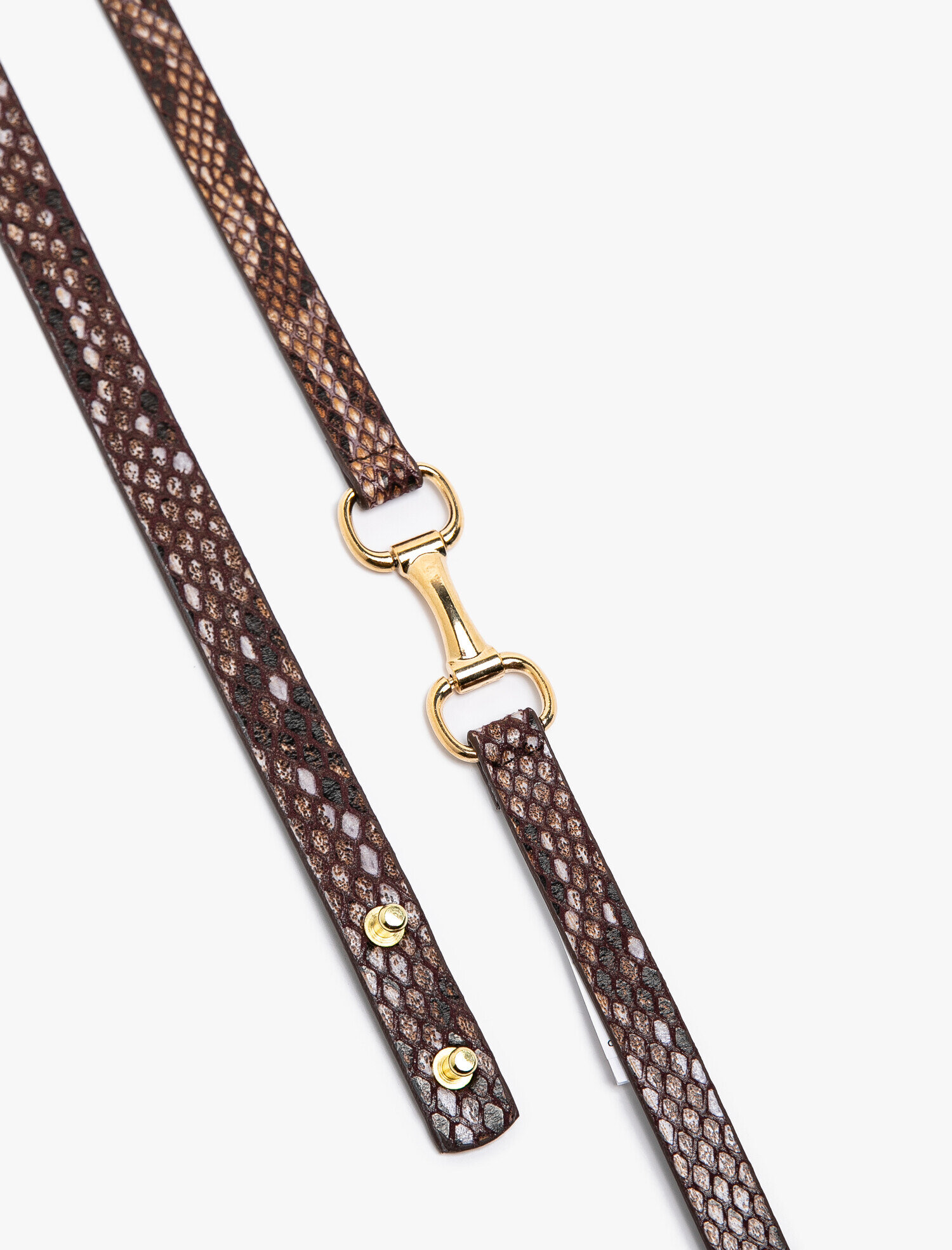  Kadın Yılan Derisi Desenli Kemer