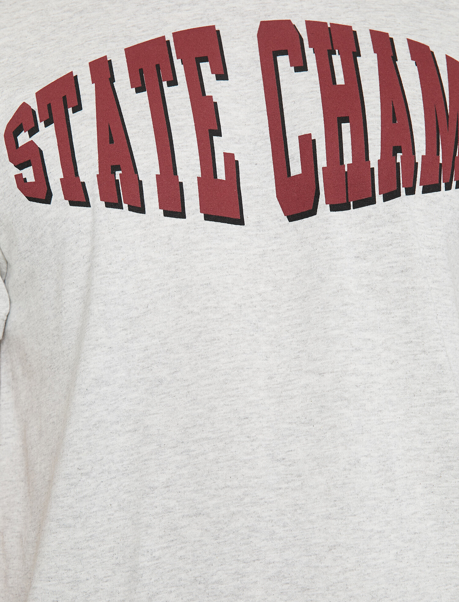   Baskılı Tişört Kısa Kollu