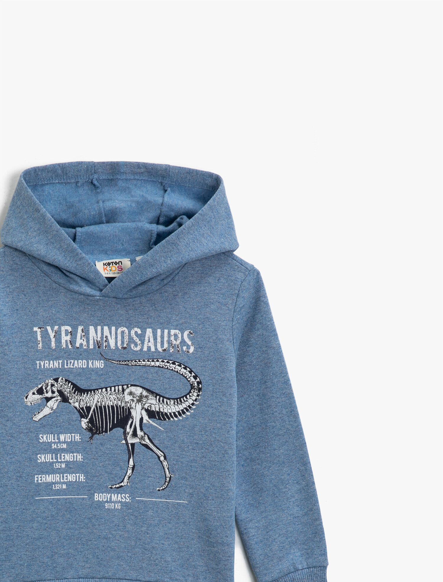  Erkek Çocuk Pamuklu Baskılı Kapüşonlu Uzun Kollu Sweatshirt