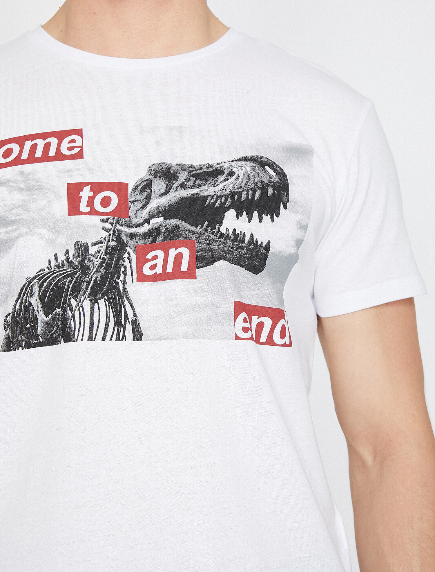   Baskılı Tişört Kısa Kollu