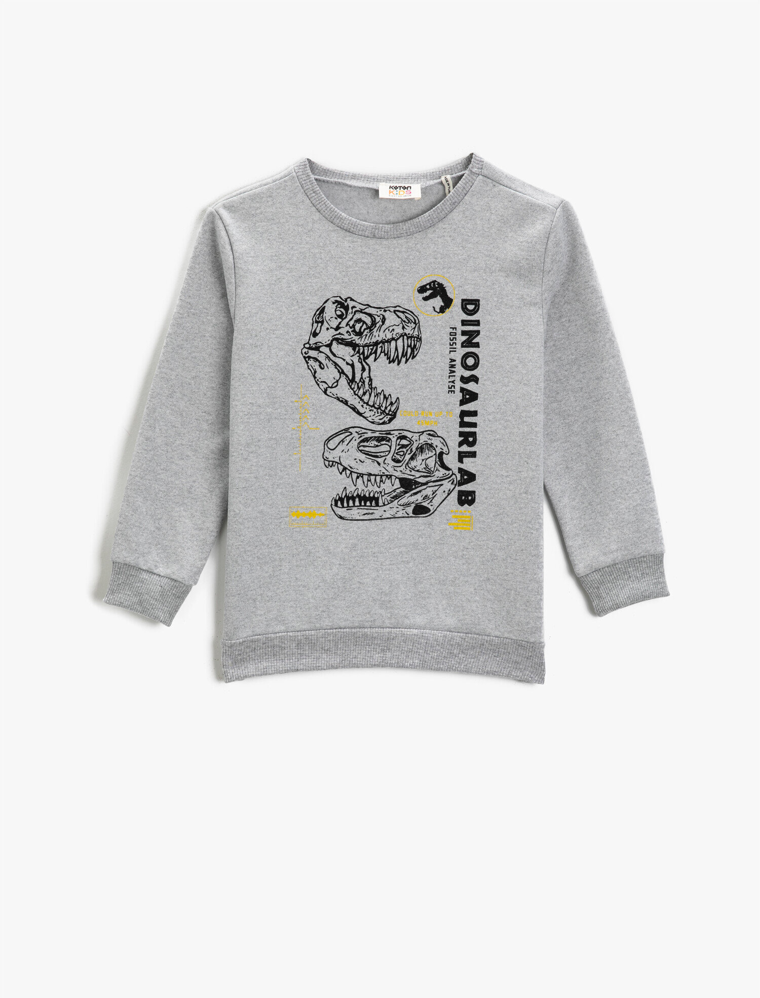 sutokuyuページ Gri Erkek Çocuk Dinozor Baskılı Sweatshirt Bisiklet Yaka