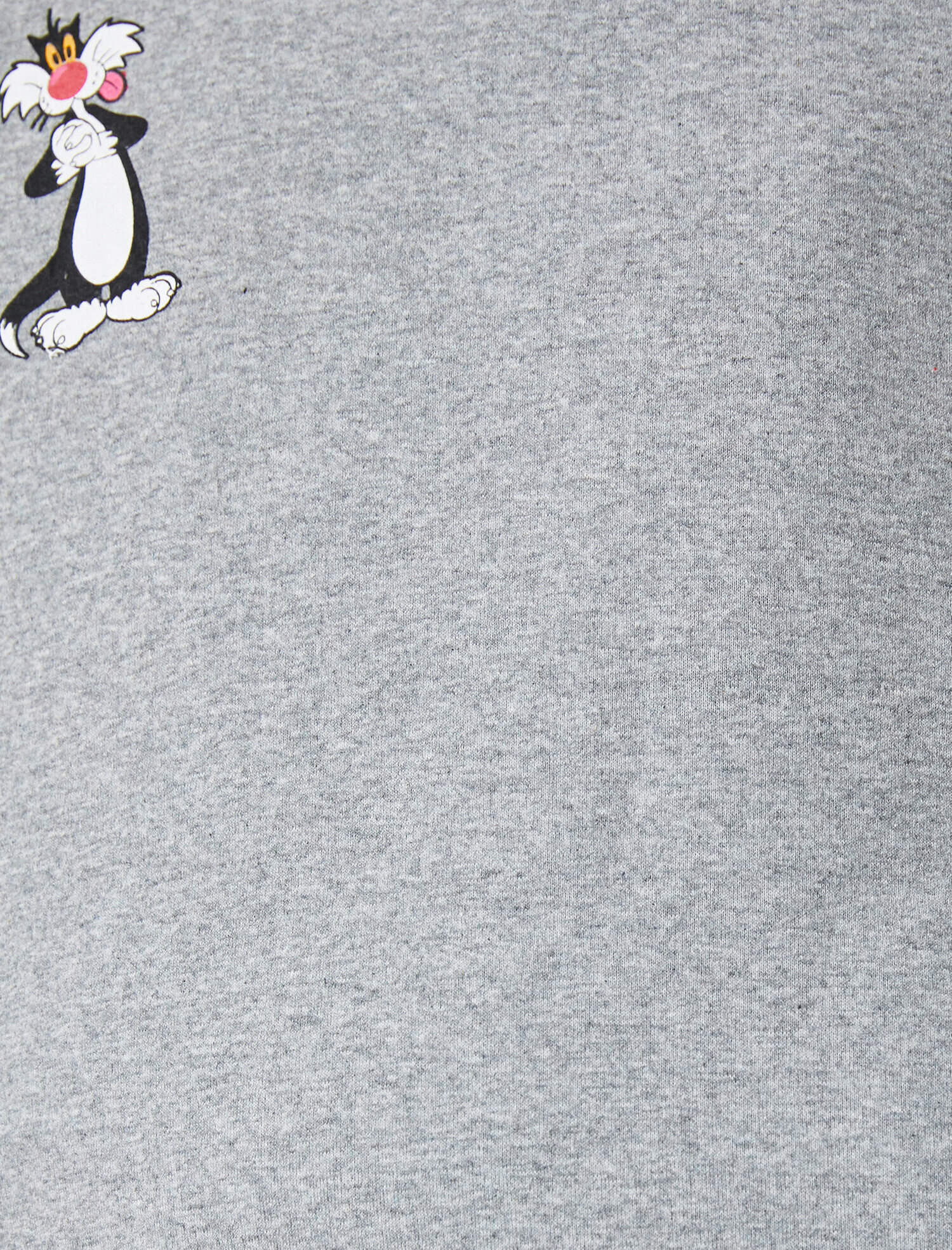   Warner Bros Lisanslı Baskılı Bisiklet Yaka Sweatshirt