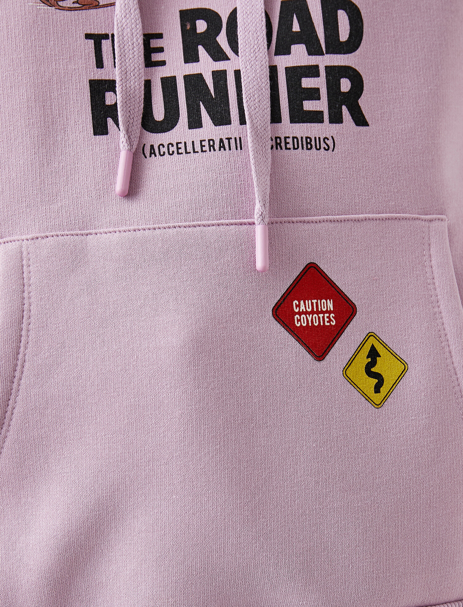   Warner Bros Lisanslı Kapüşonlu Cepli Baskılı Sweatshirt