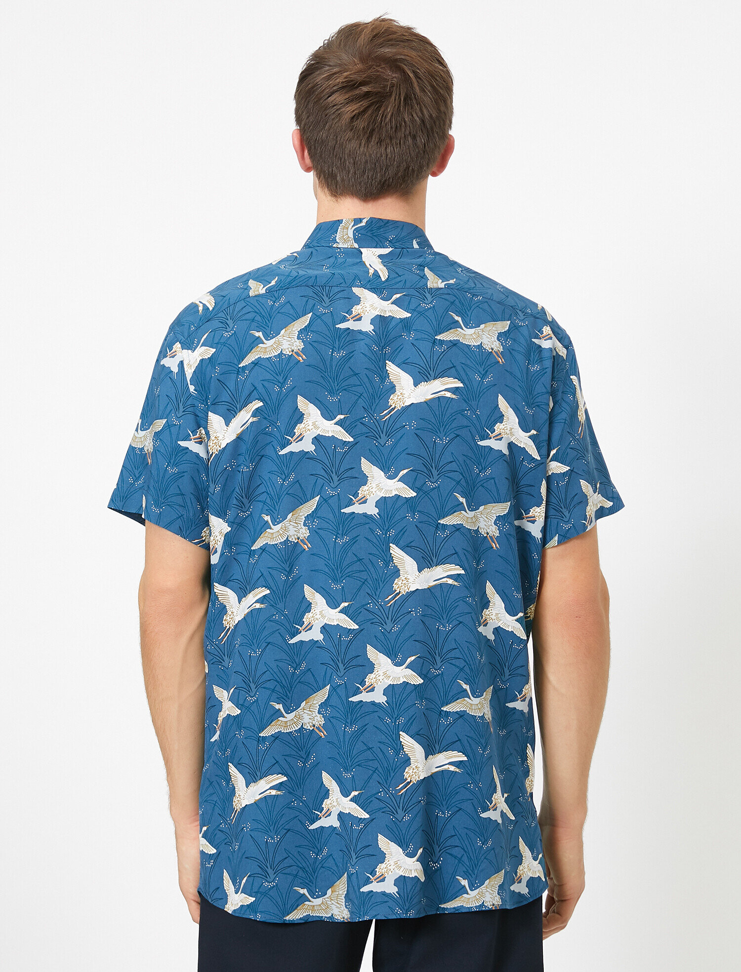   Kuş Desenli Kısa Kollu Regular Fit Gömlek