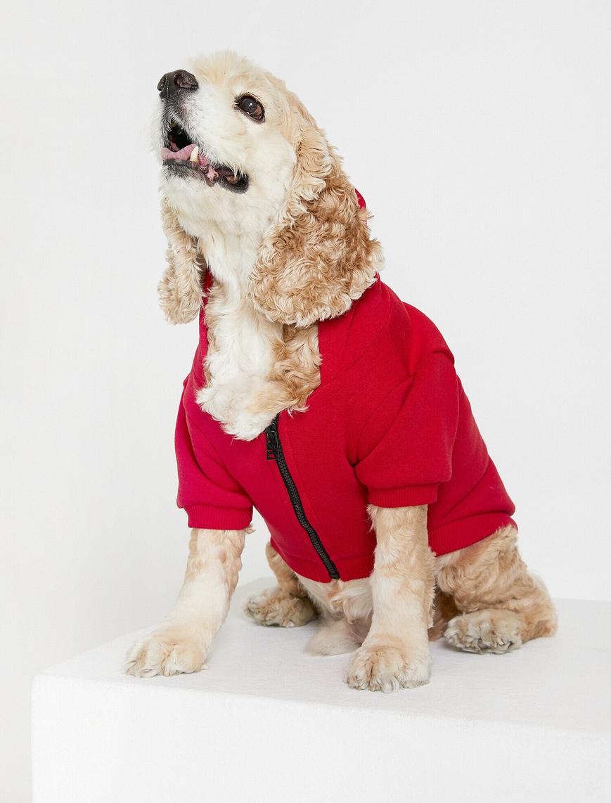   Yazılı Baskılı Köpek Sweatshirt