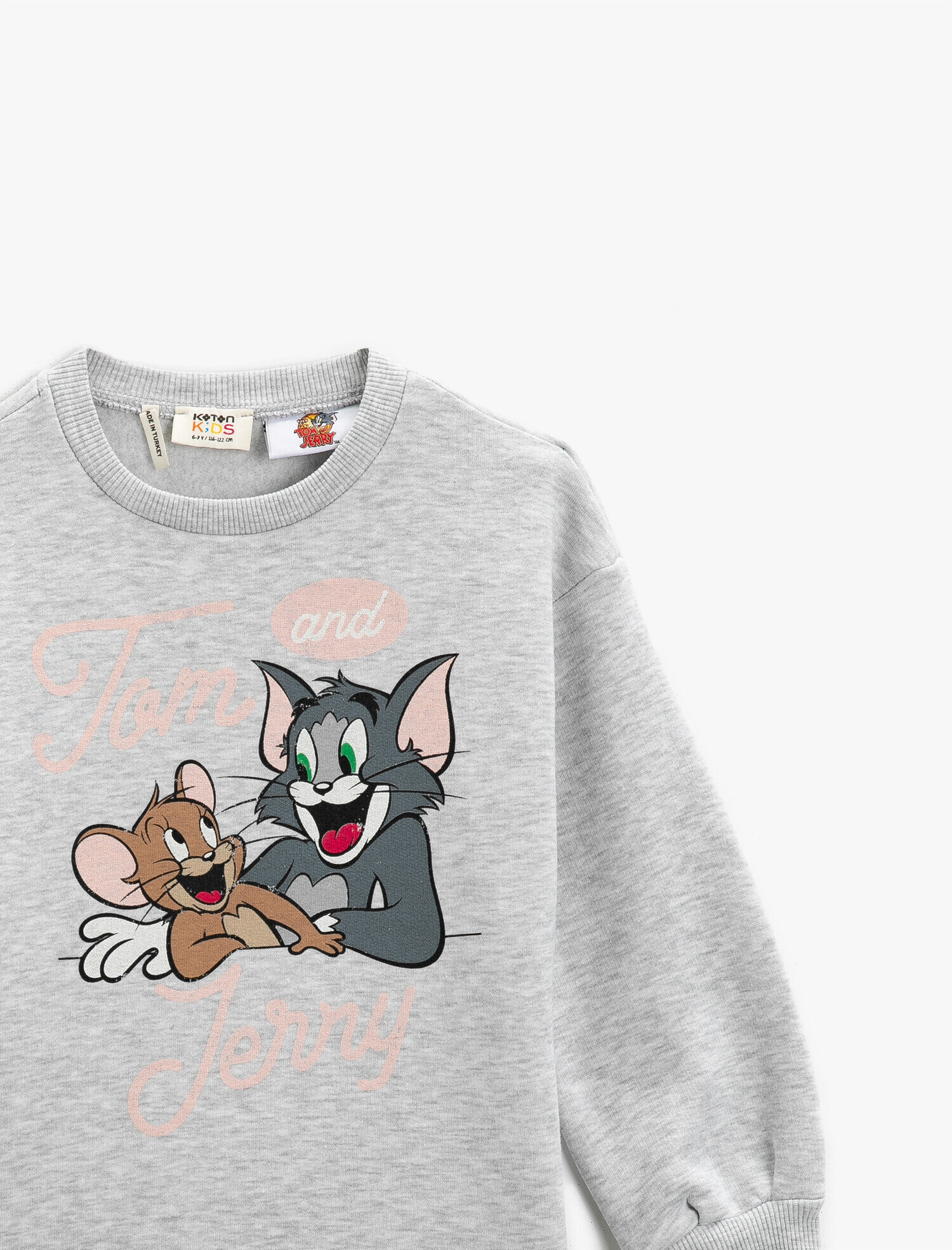  Kız Çocuk Warner Bros Lisanslı Baskılı Bisiklet Yaka Sweatshirt