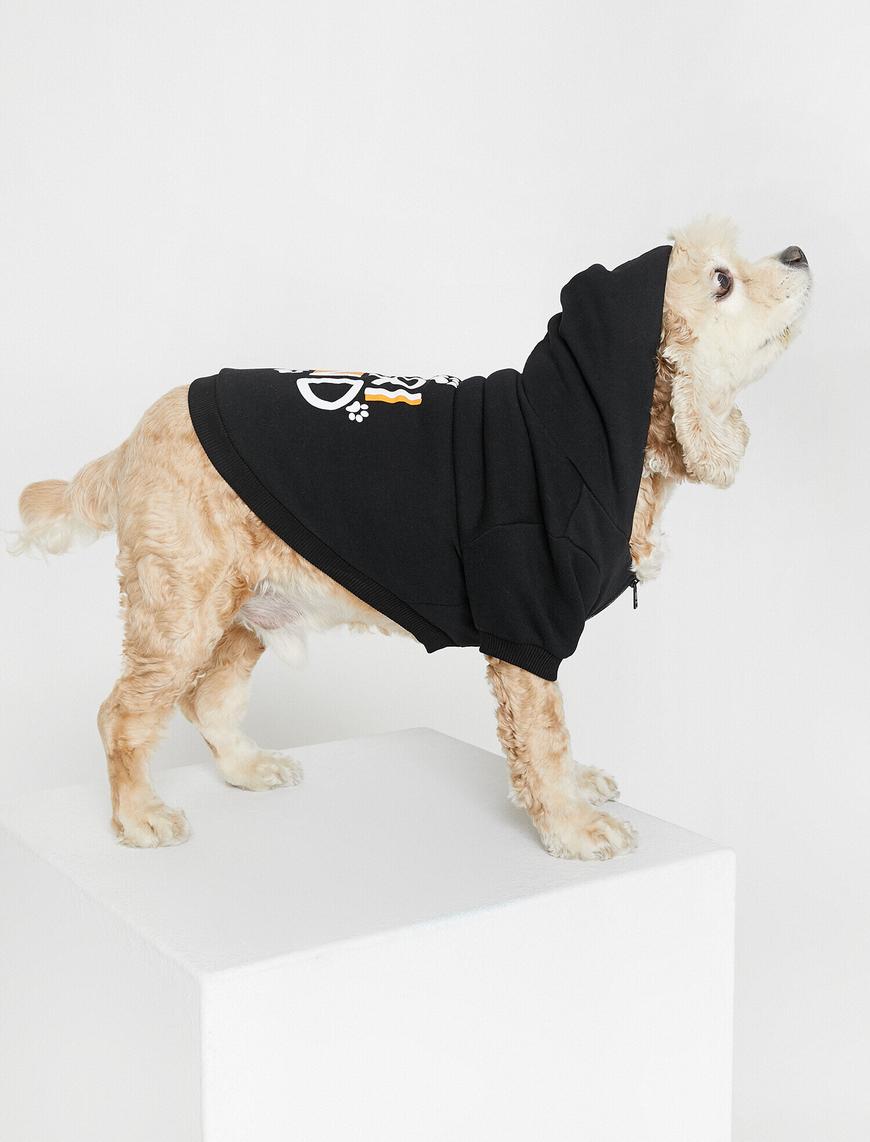   Fermuar Detaylı Köpek Sweatshirt