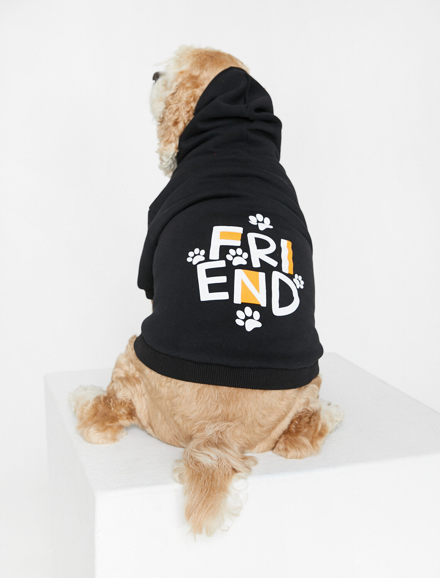  Fermuar Detaylı Köpek Sweatshirt