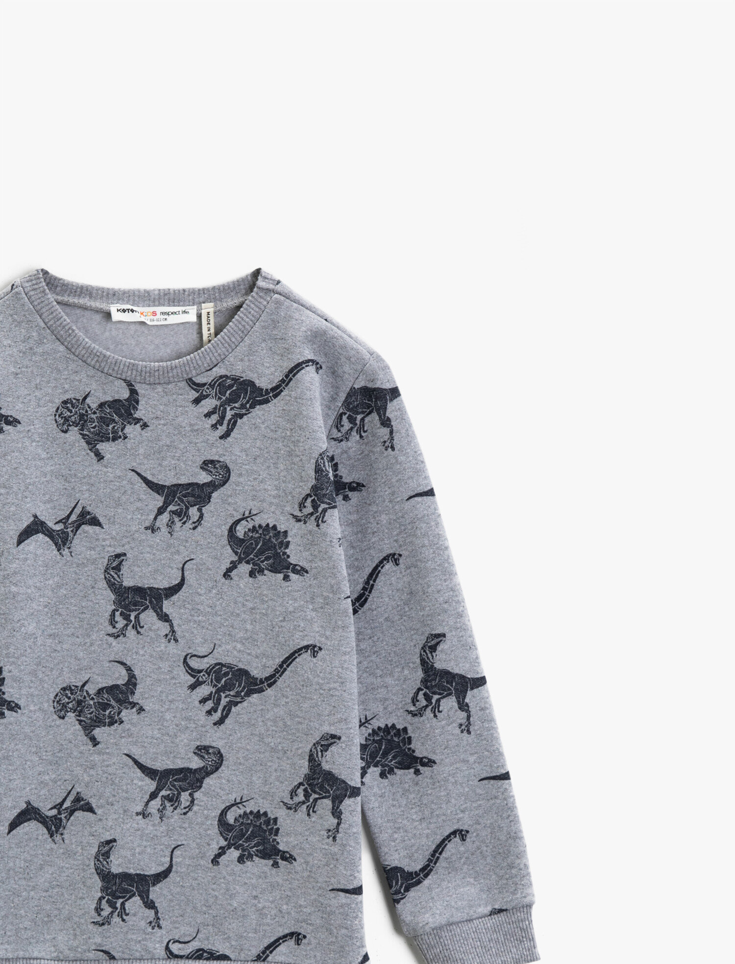  Erkek Çocuk Dinozor Baskılı Sweatshirt Pamuklu