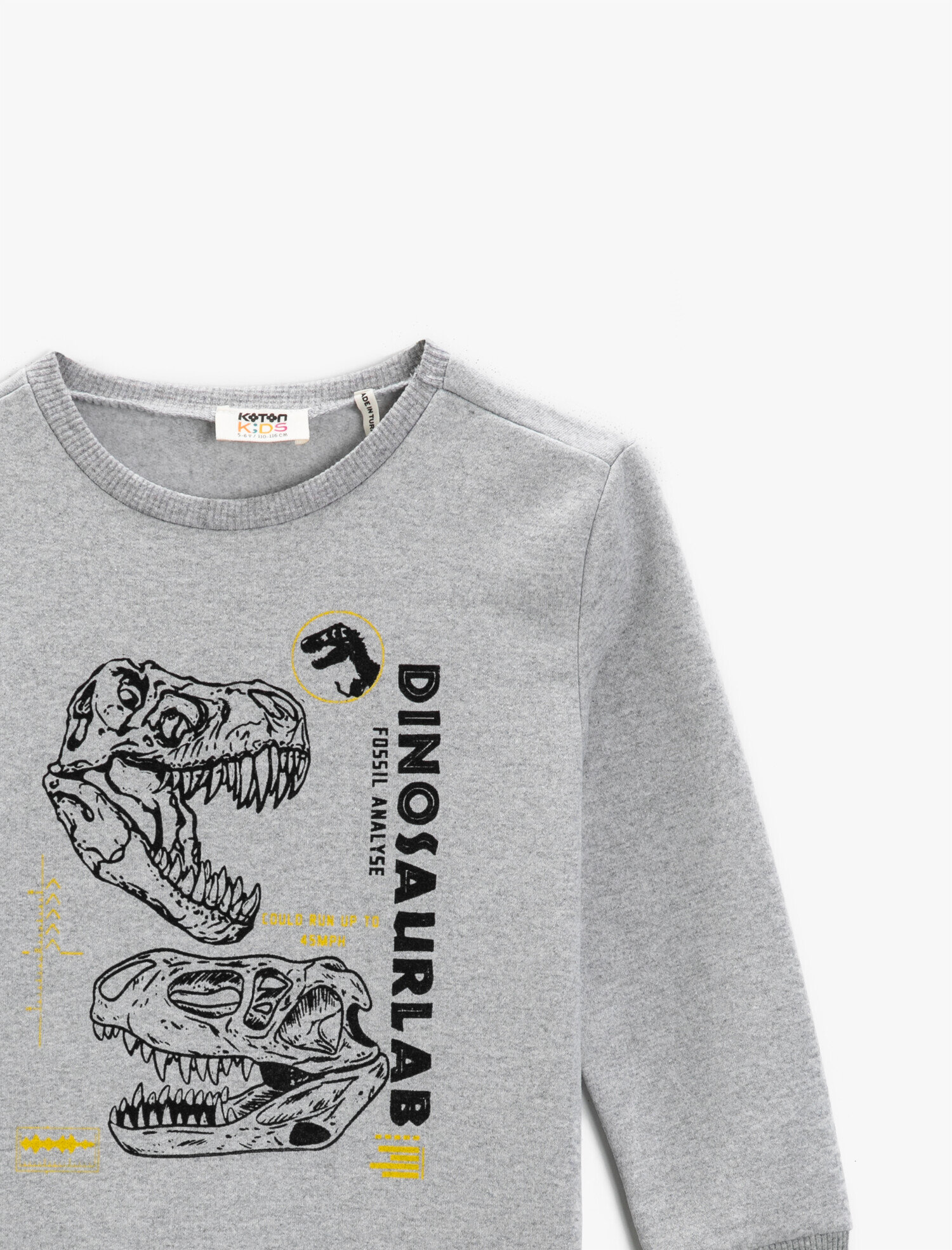 Gri Erkek Çocuk Dinozor Baskılı Sweatshirt Bisiklet Yaka