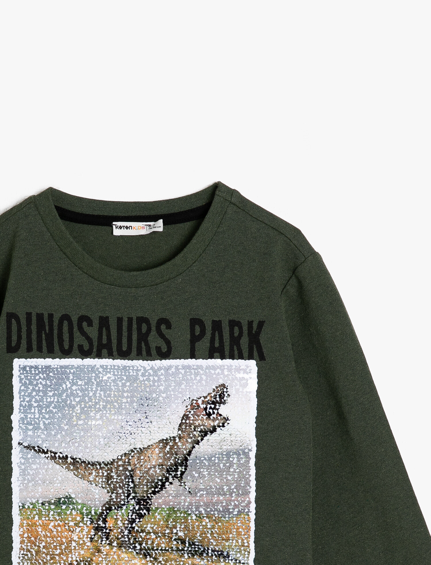  Erkek Çocuk Dinozor Baskılı Tişört Uzun Kollu