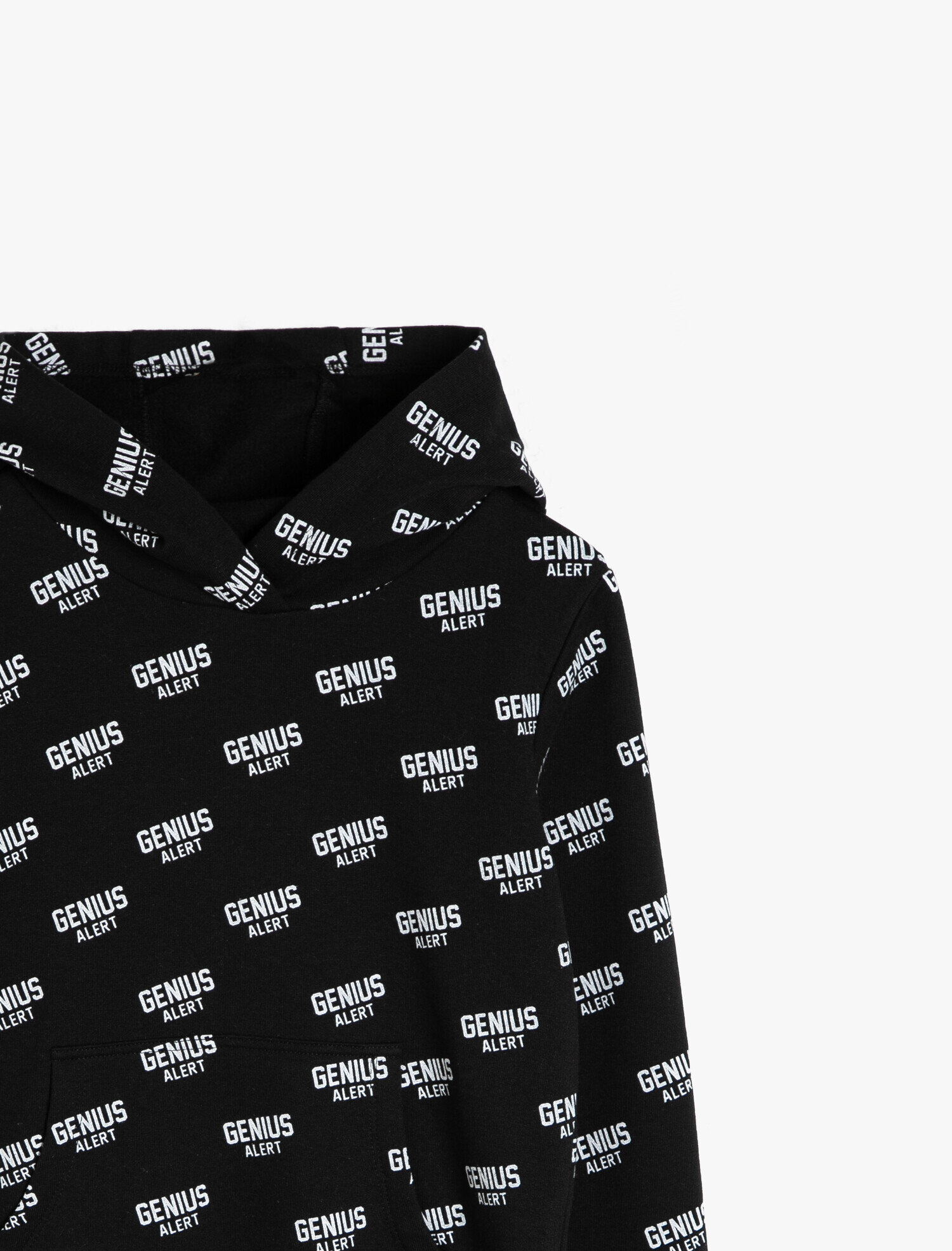  Erkek Çocuk Kapüşonlu Sweatshirt