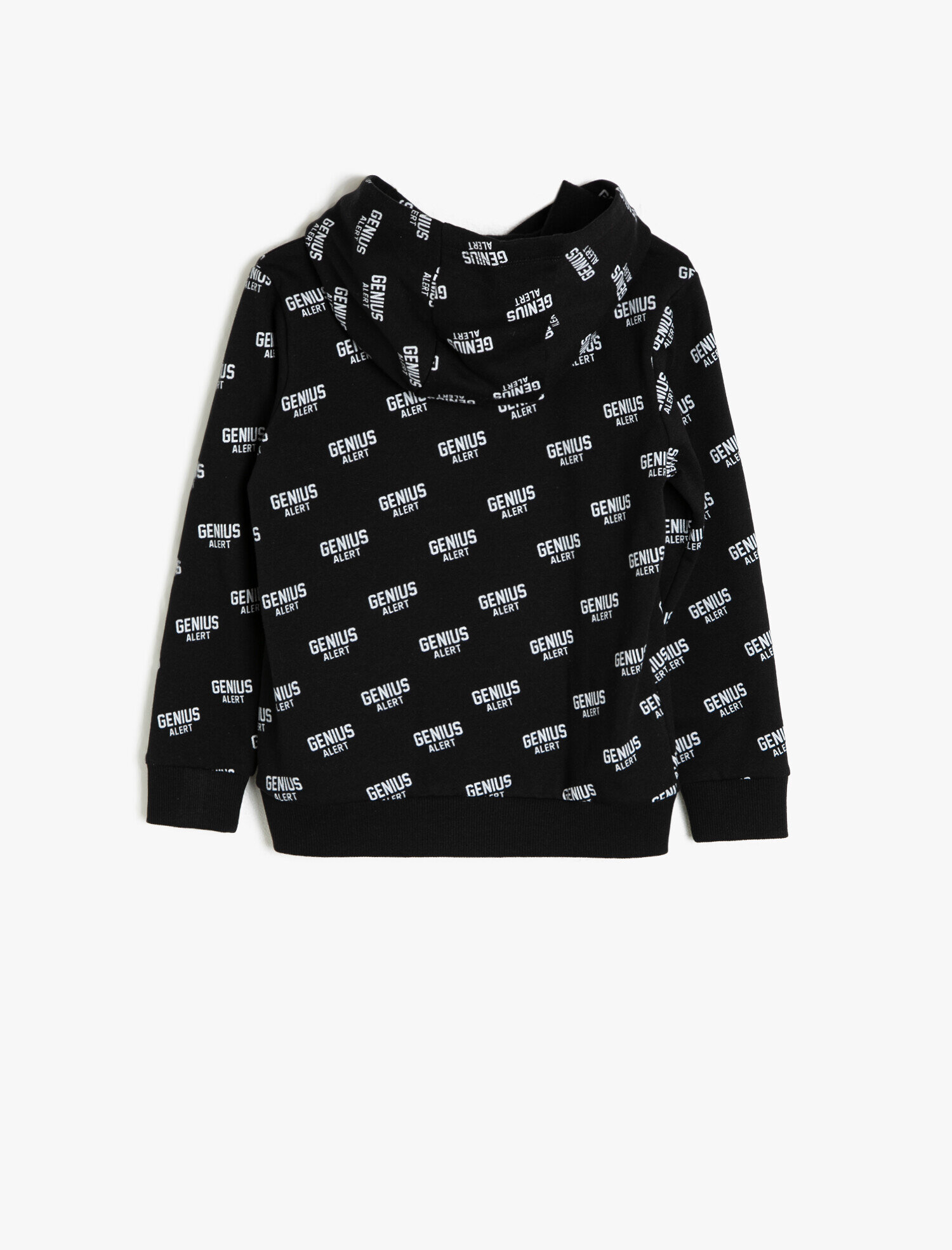  Erkek Çocuk Kapüşonlu Sweatshirt