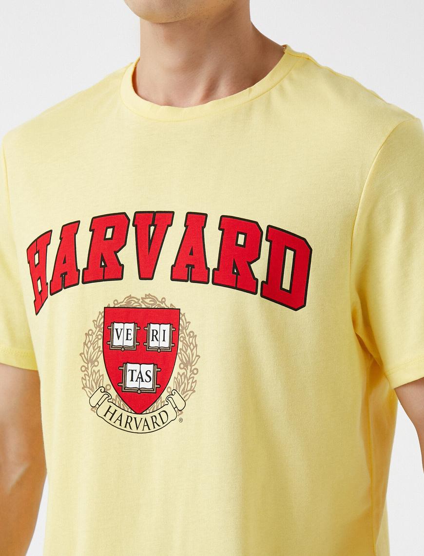   Harvard Tişört Lisanslı Pamuklu