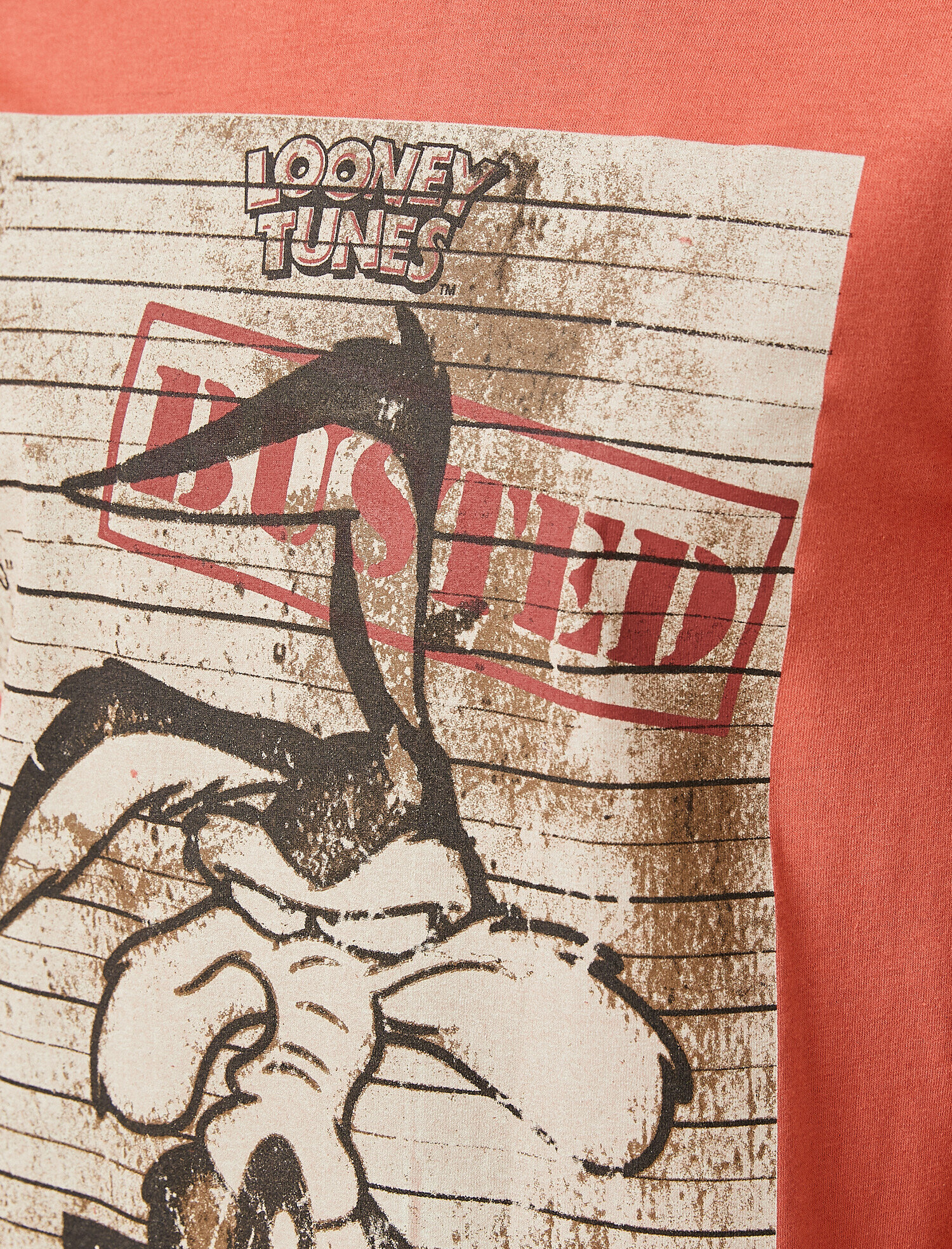   Coyote Ugly Tişört Lisanslı Baskılı