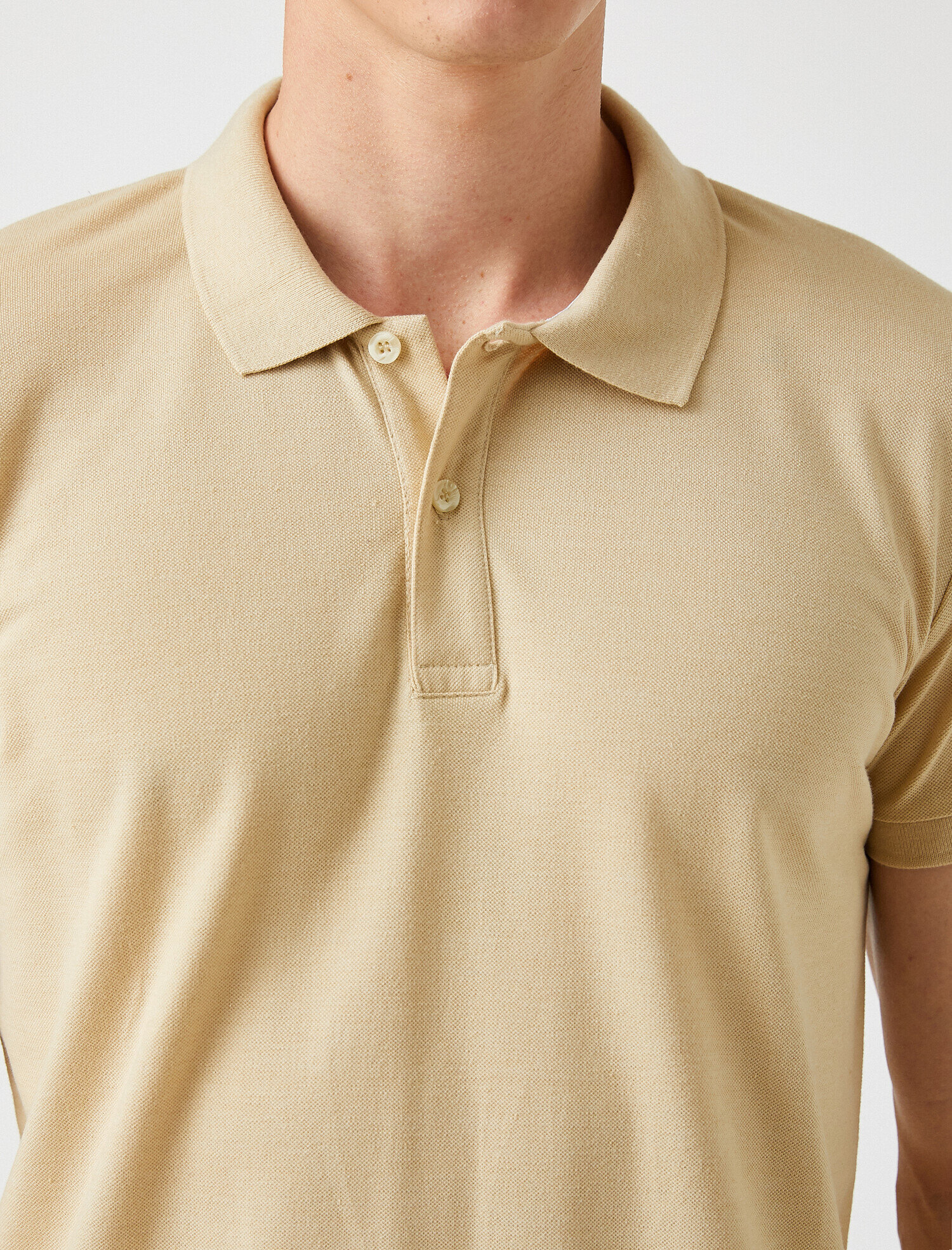 Polo Yaka Tişört Basic Kısa Kollu Pamuklu