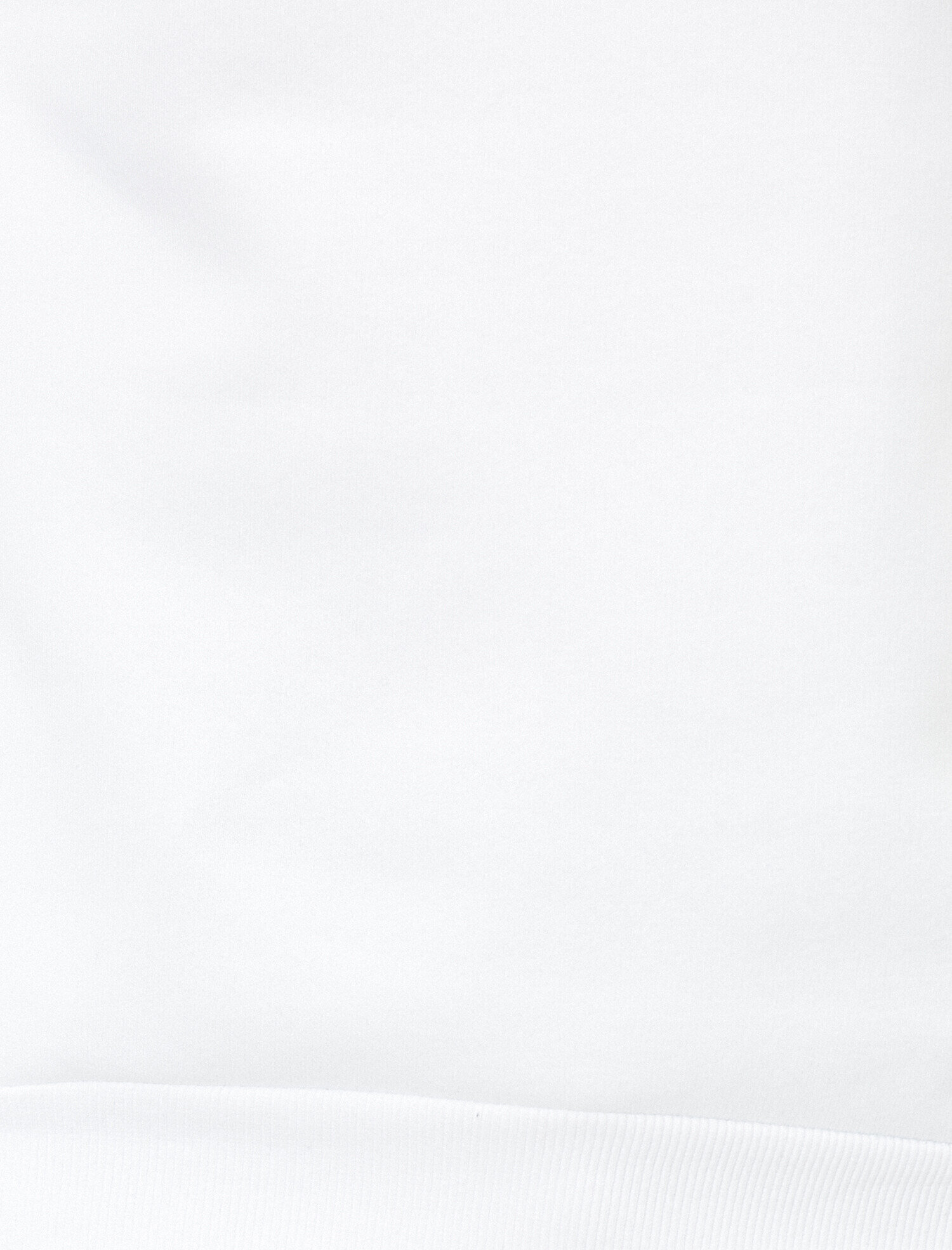   Looney Tunes Lisanslı Sırt ve Göğsü Baskılı Kapüşonlu Sweatshirt