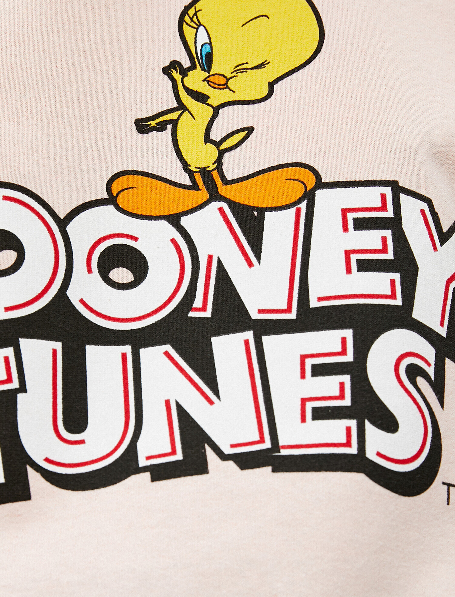   Warner Bros Lisanslı Baskılı Sweatshirt