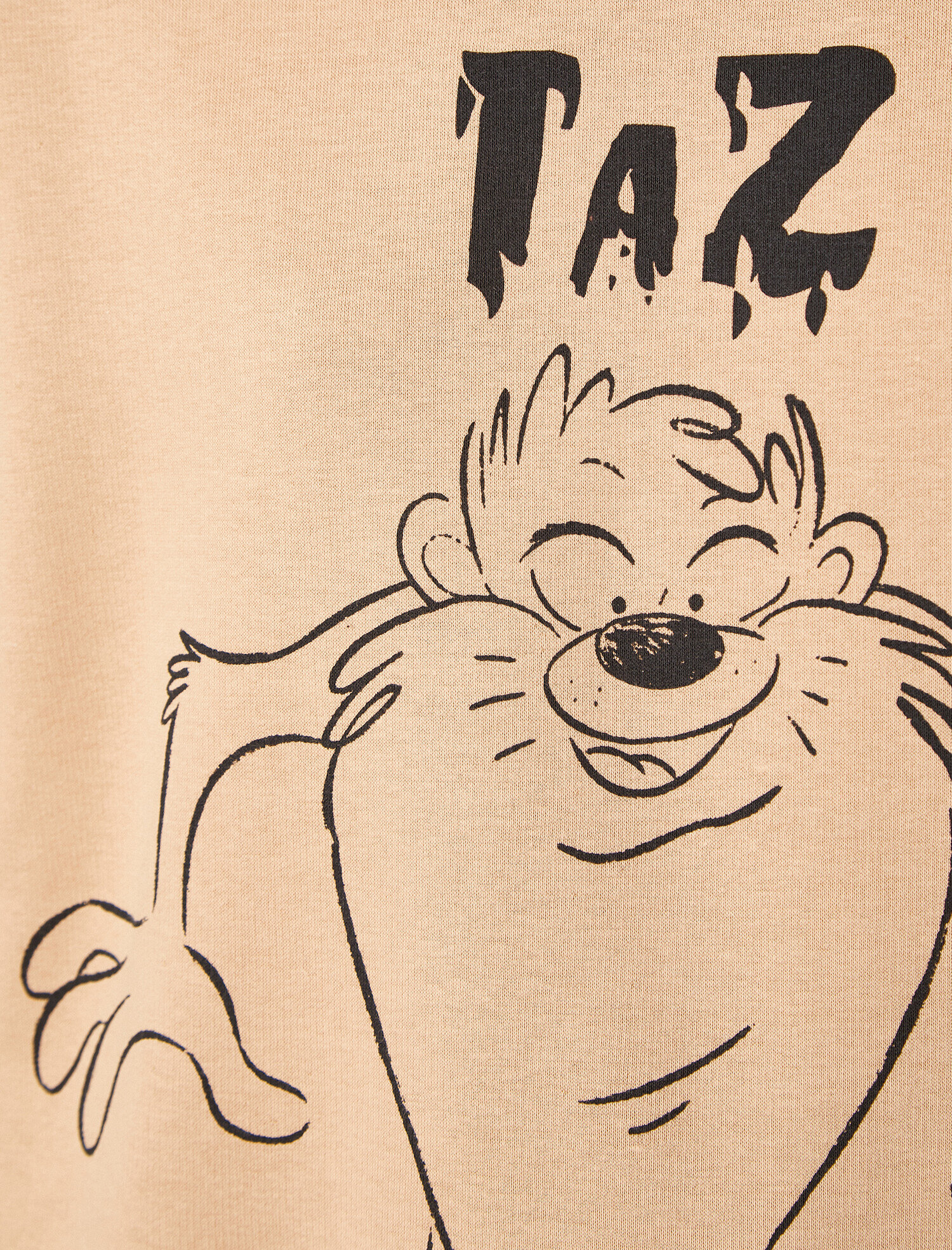   Pamuklu Warner Bros Lisanslı Bisiklet Yaka Sweatshirt