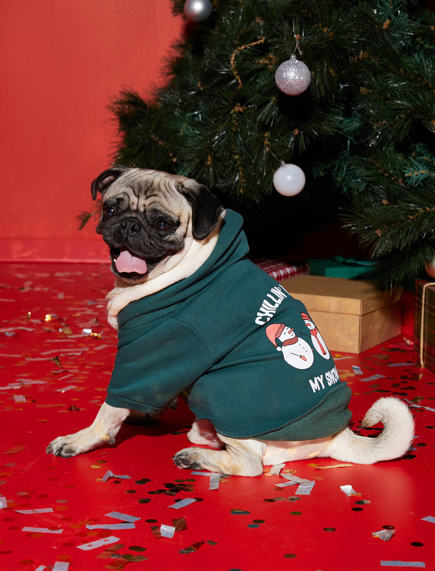   Kapüşonlu Baskılı Köpek Sweatshirt