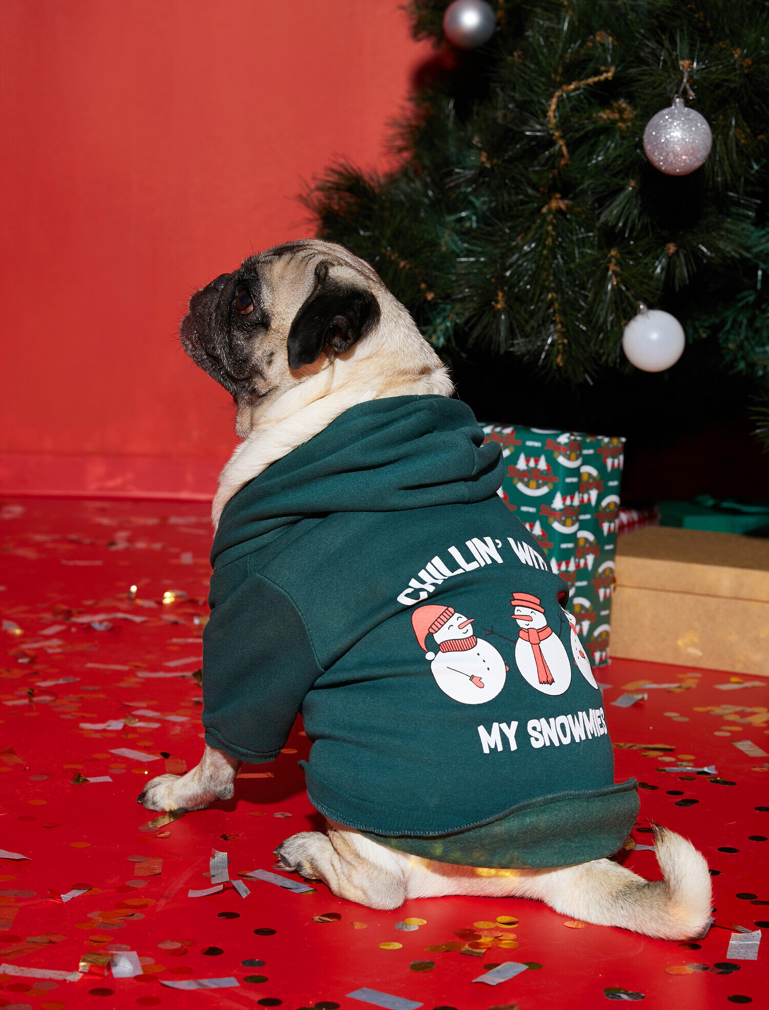   Kapüşonlu Baskılı Köpek Sweatshirt