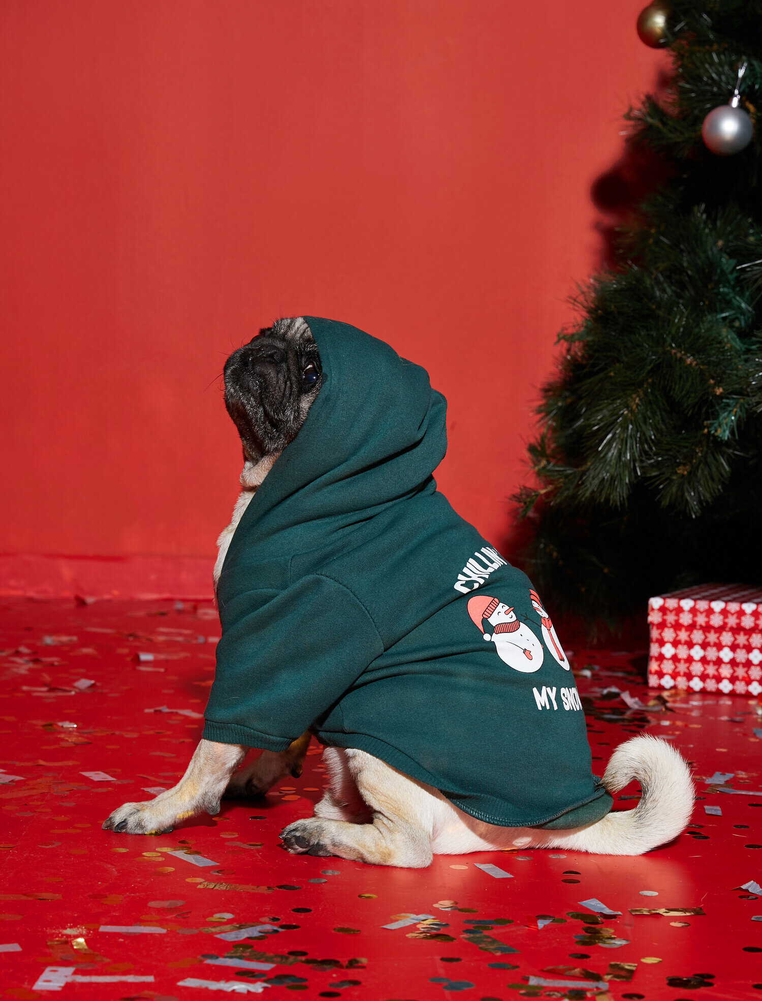   Kapüşonlu Baskılı Köpek Sweatshirt