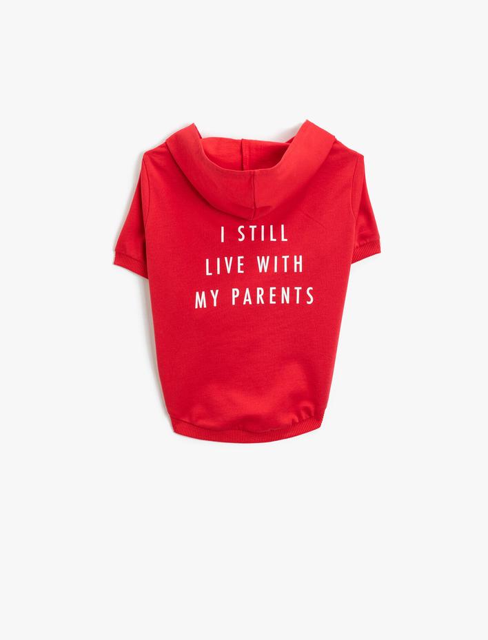  Pamuklu Kapüşonlu Köpek Sweatshirt