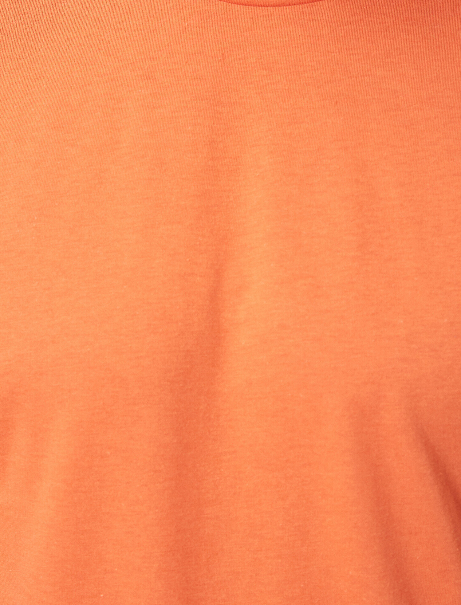   Pamuklu Bisiklet Yaka Kısa Kollu Tişört