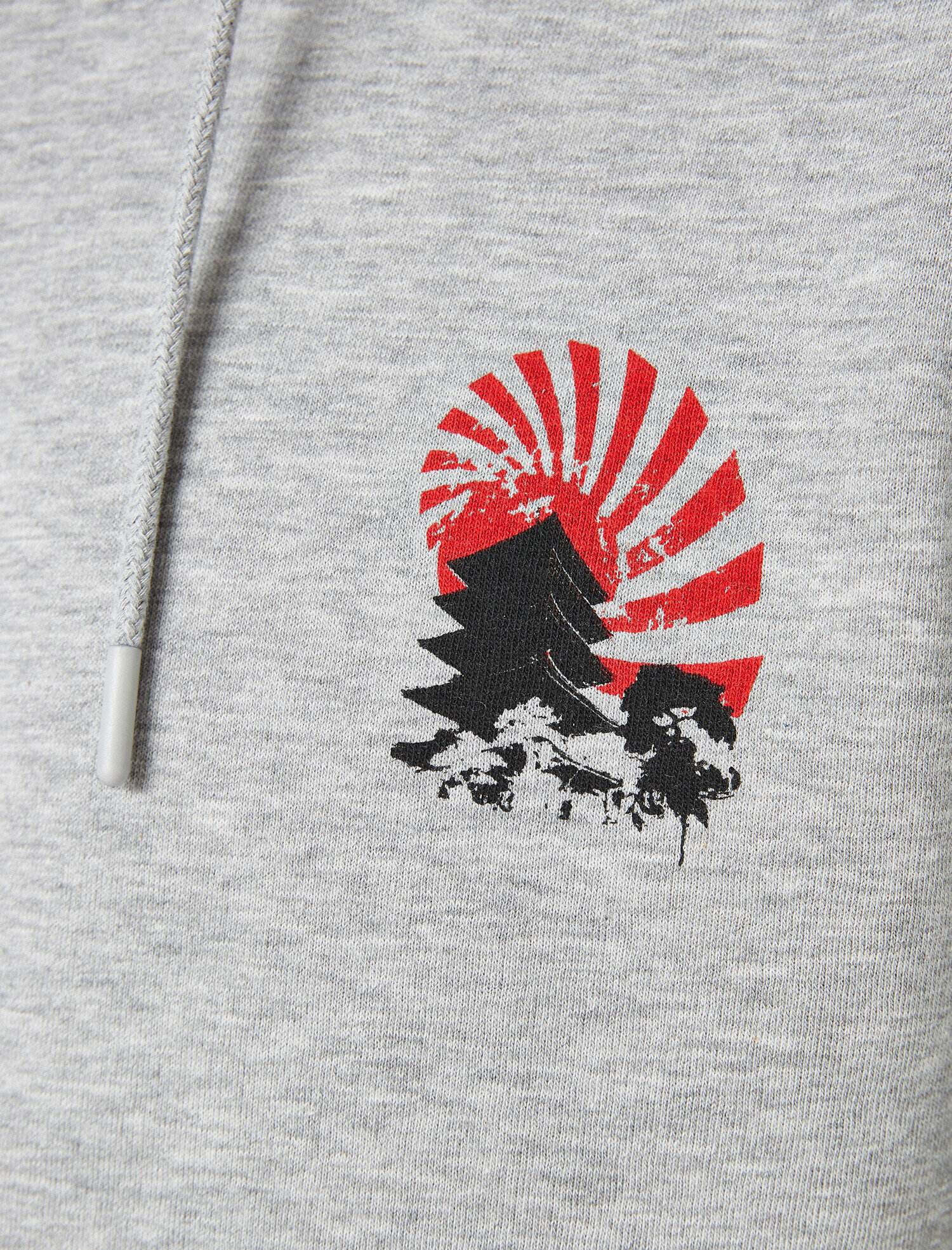   Kapüşonlu Baskılı Uzun Kollu Sweatshirt