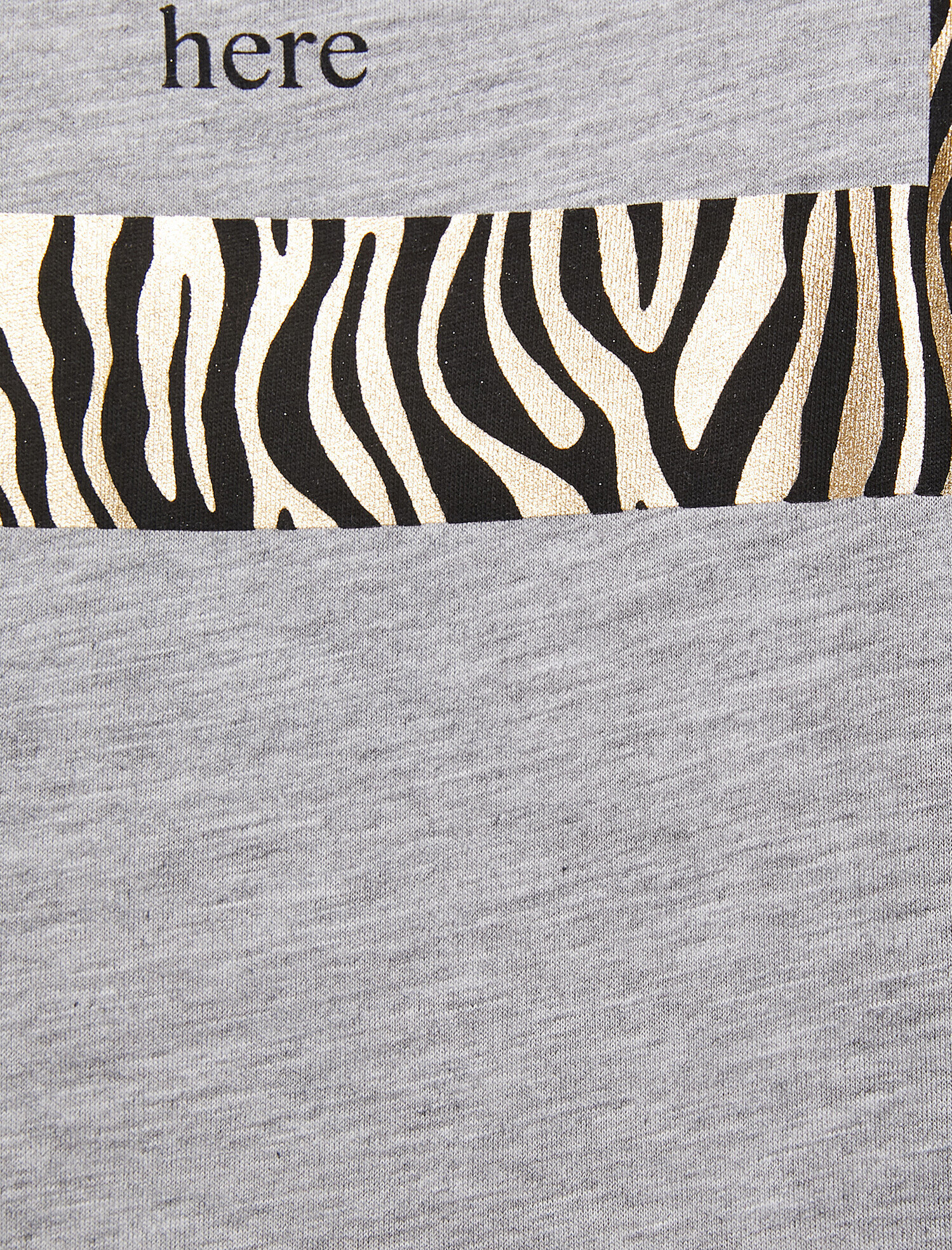   Leopar Detaylı Slogan Baskılı Geniş Kalıp Bisiklet Yaka Tişört