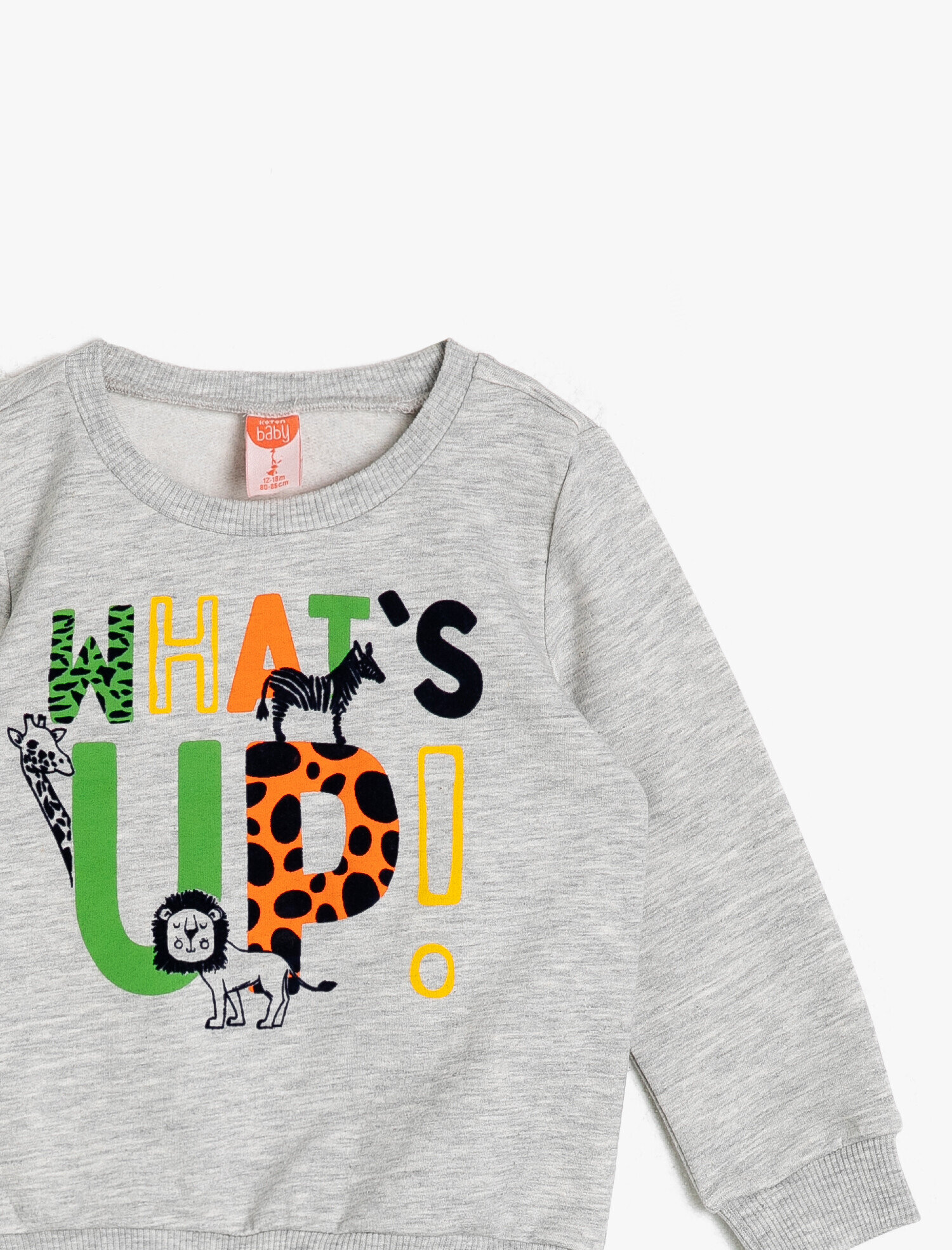 Erkek Bebek Yazılı Baskılı Sweatshirt