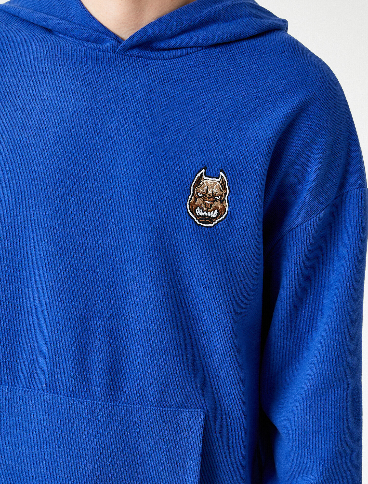   Minimal İşlemeli Sweatshirt Kapşonlu