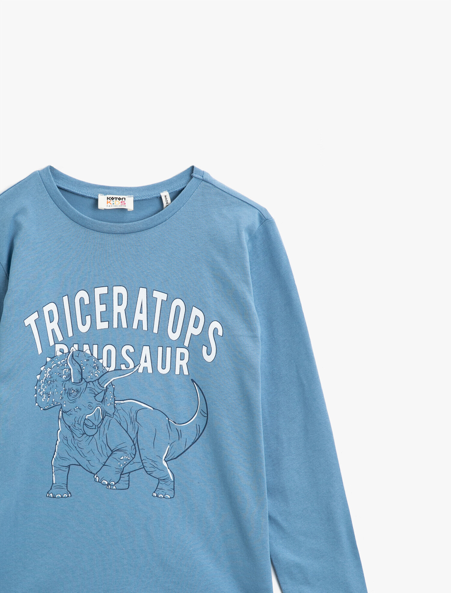  Erkek Çocuk Dinozor Baskılı Uzun Kollu Tişört