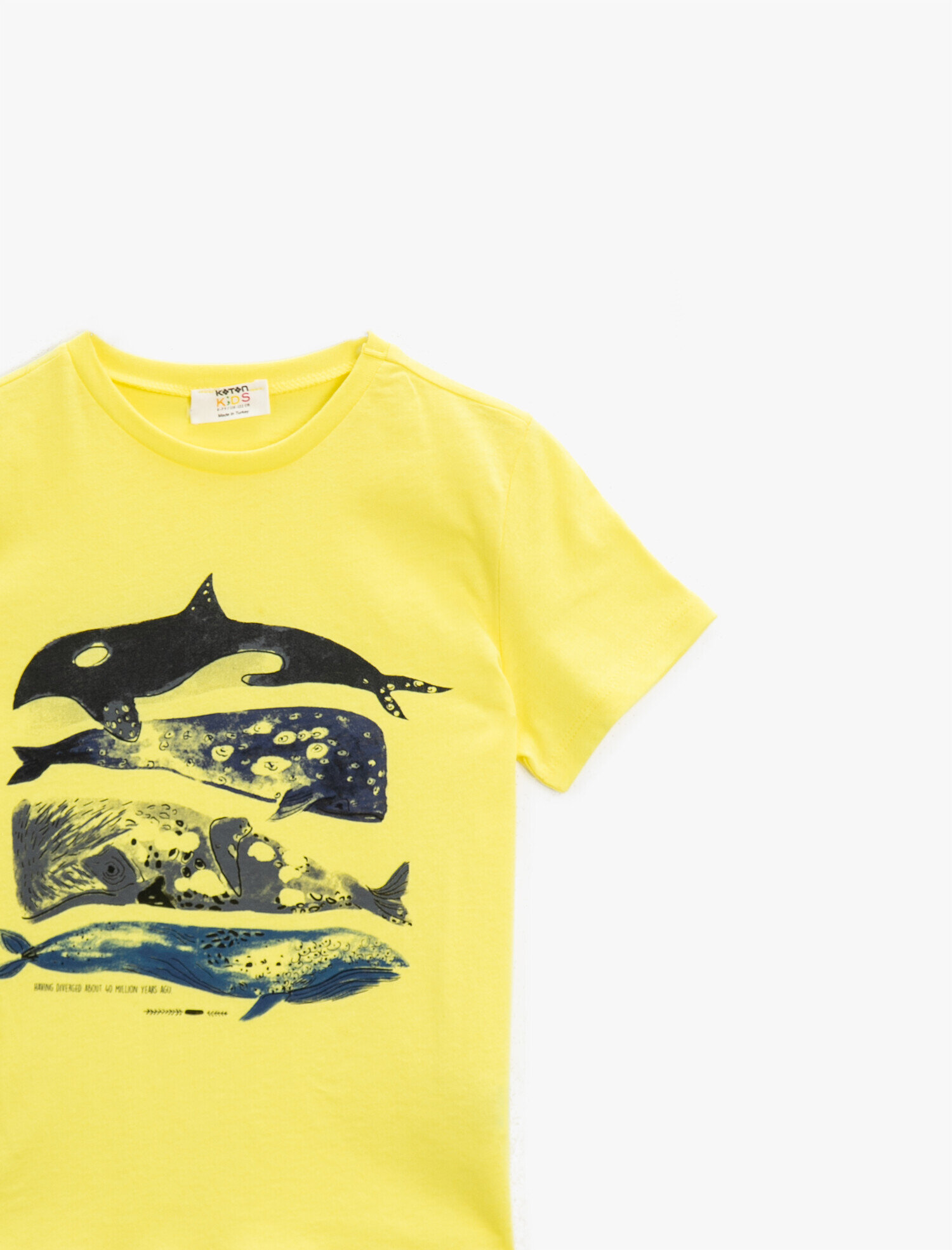  Erkek Çocuk Bisiklet Yaka Tişört Baskılı Kısa Kollu