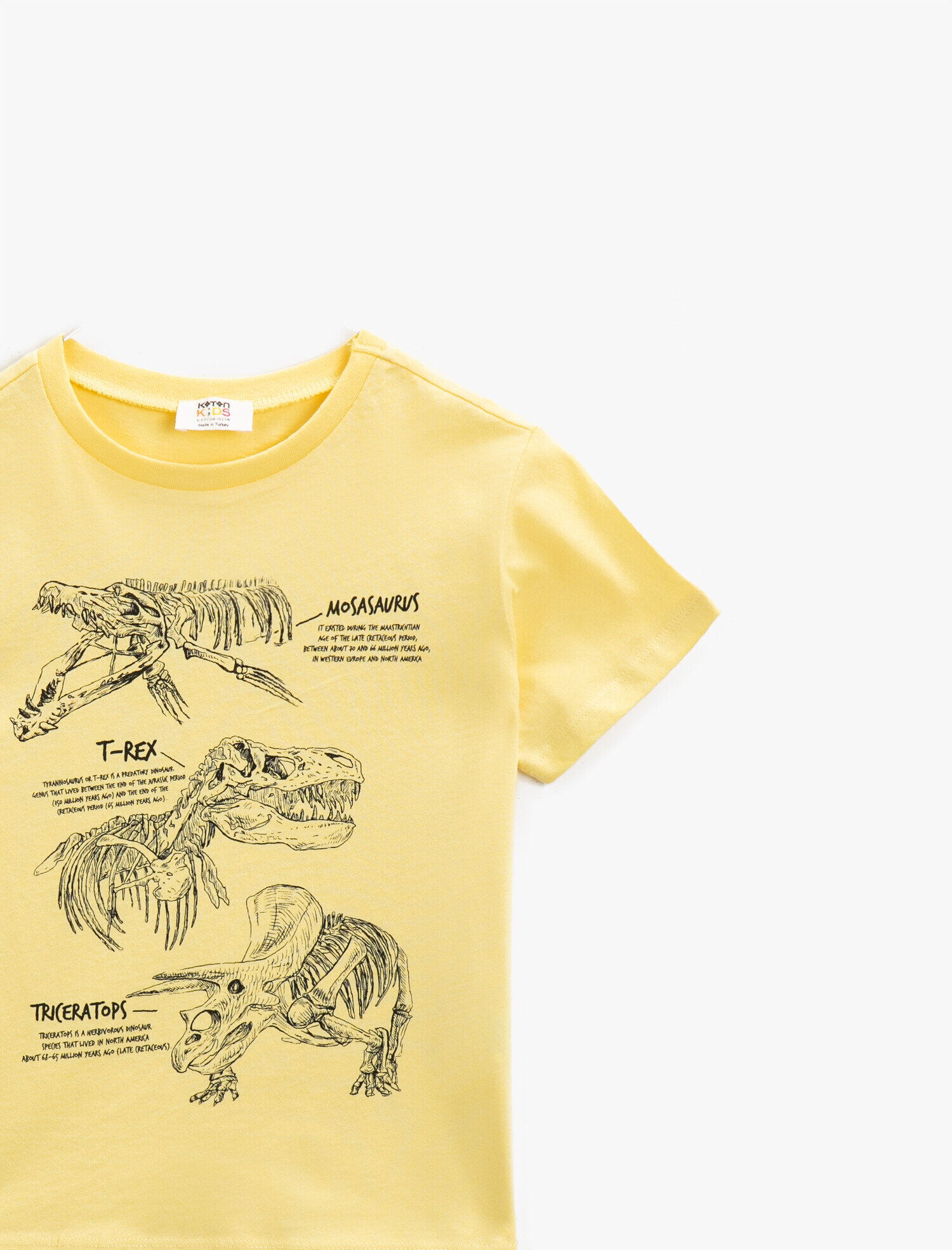  Erkek Çocuk Baskılı Tişört Pamuklu Bisiklet Yaka