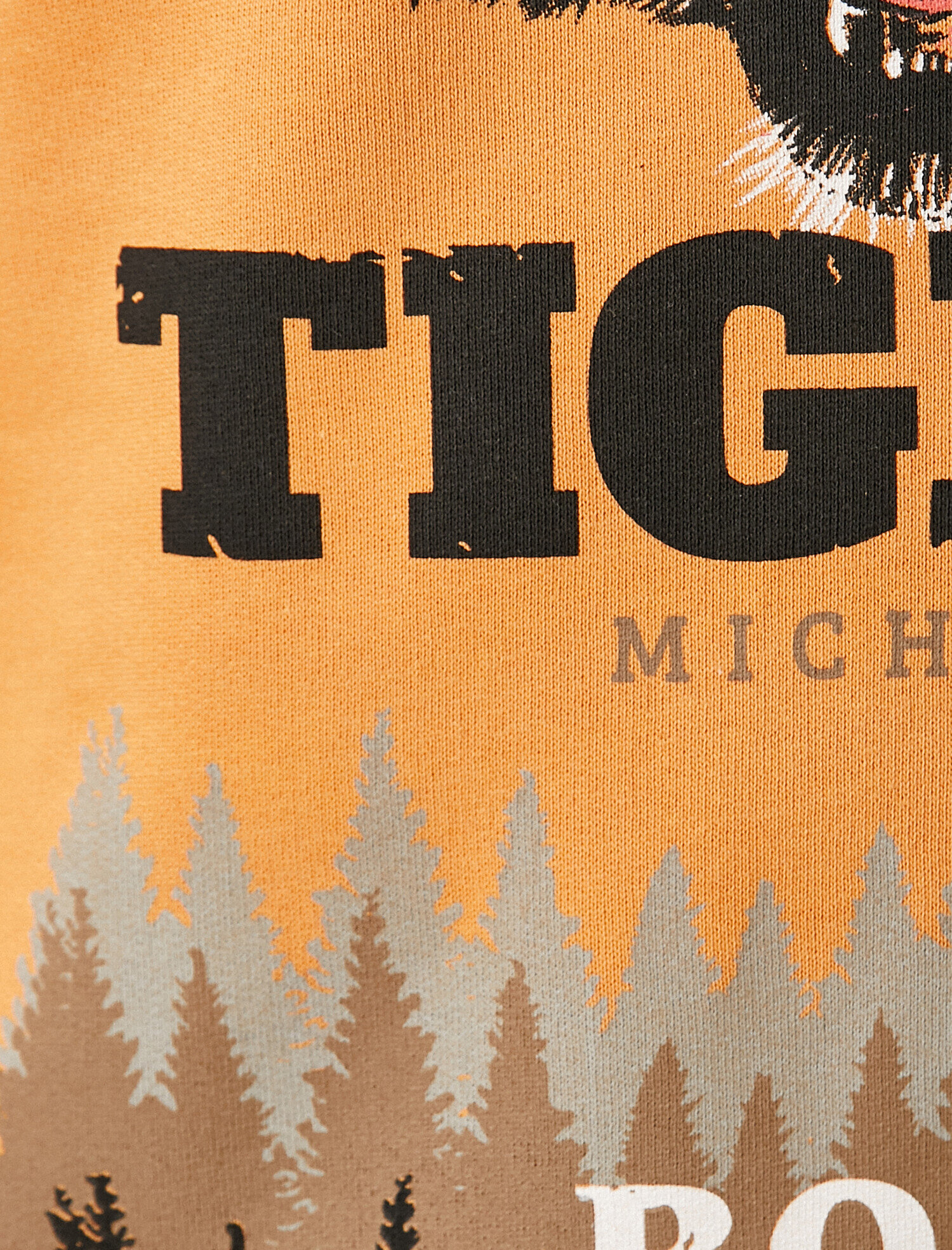   Pamuklu Baskılı Kapüşonlu Sweatshirt