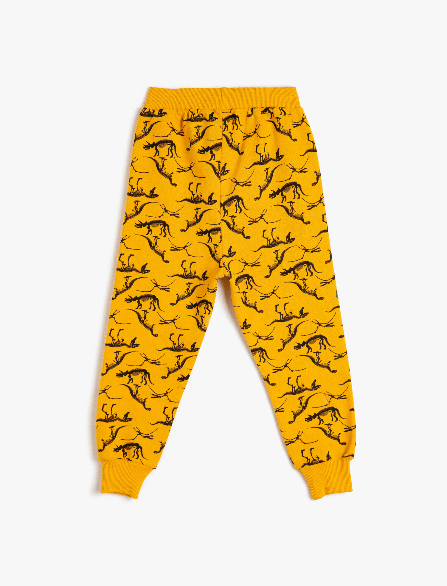 Erkek Çocuk Dinozor Baskılı Eşofman Altı Pamuklu