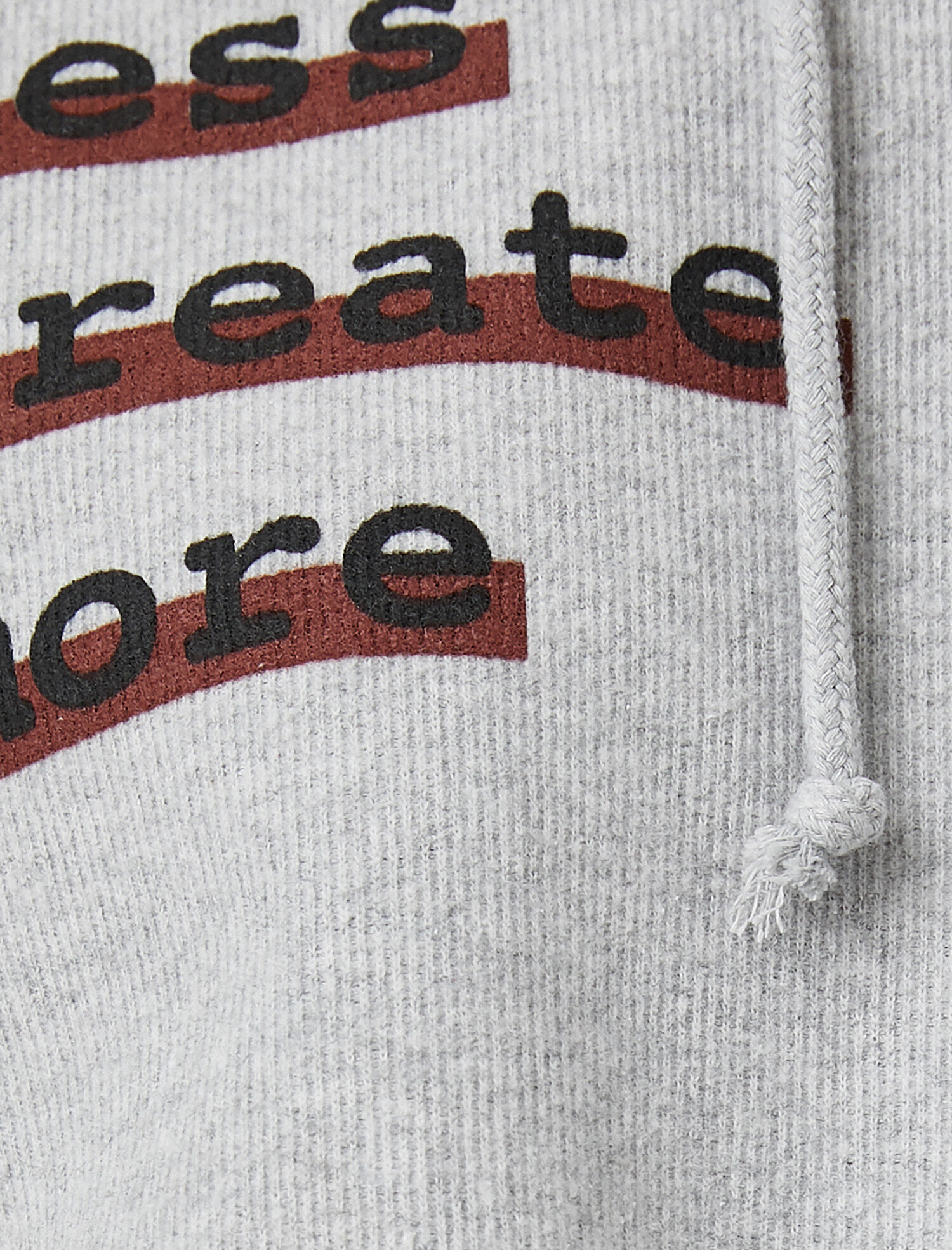   Crop Sweatshirt Kapüşonlu Fitilli Baskılı