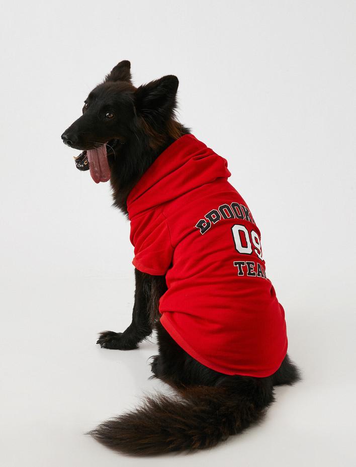  Love Dog Kapüşonlu Sweatshirt