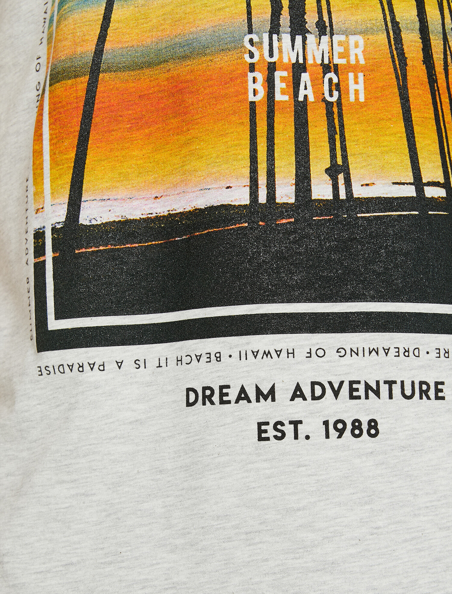   Baskılı Tişört Kısa Kollu