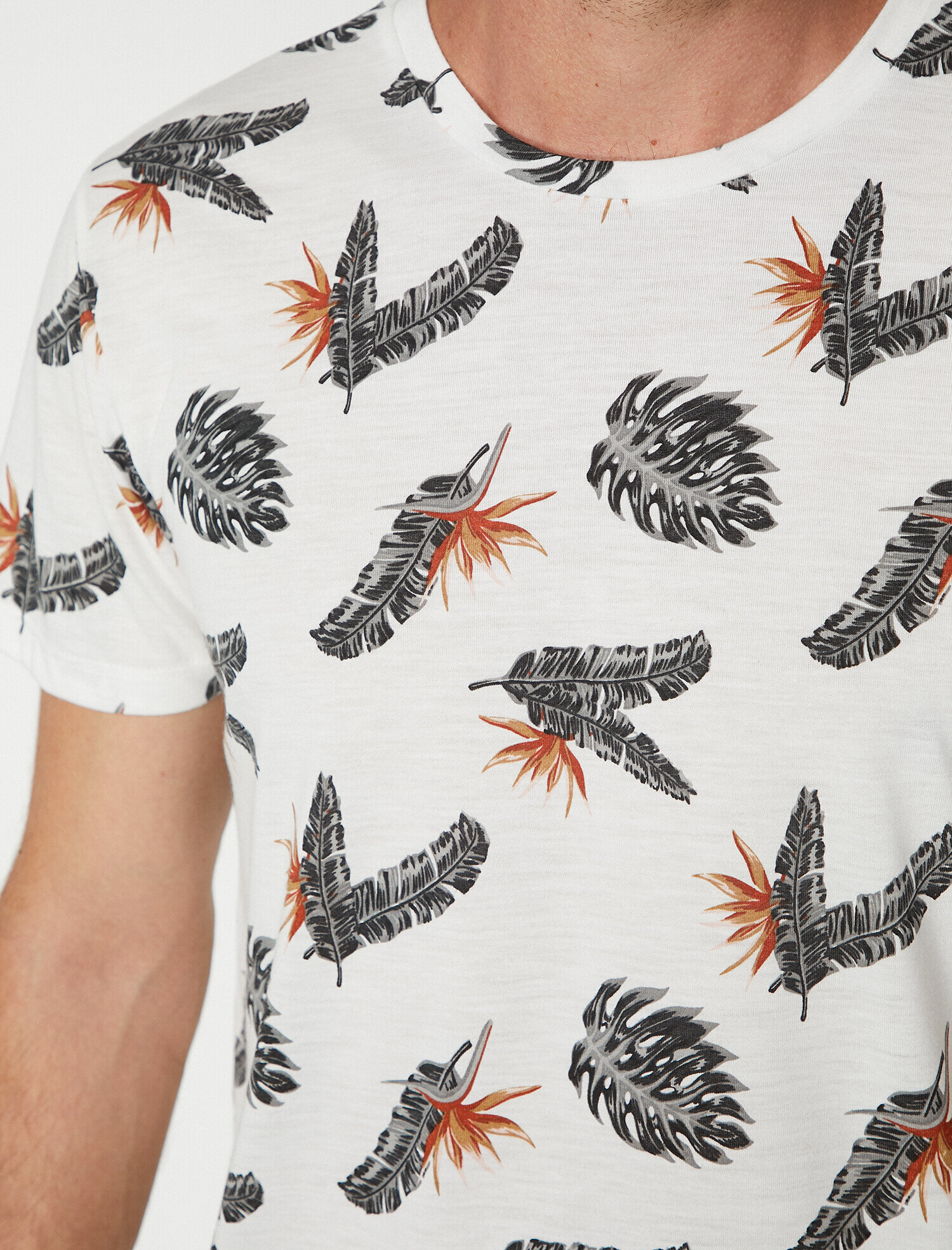   Baskılı Tişört Kısa Kollu