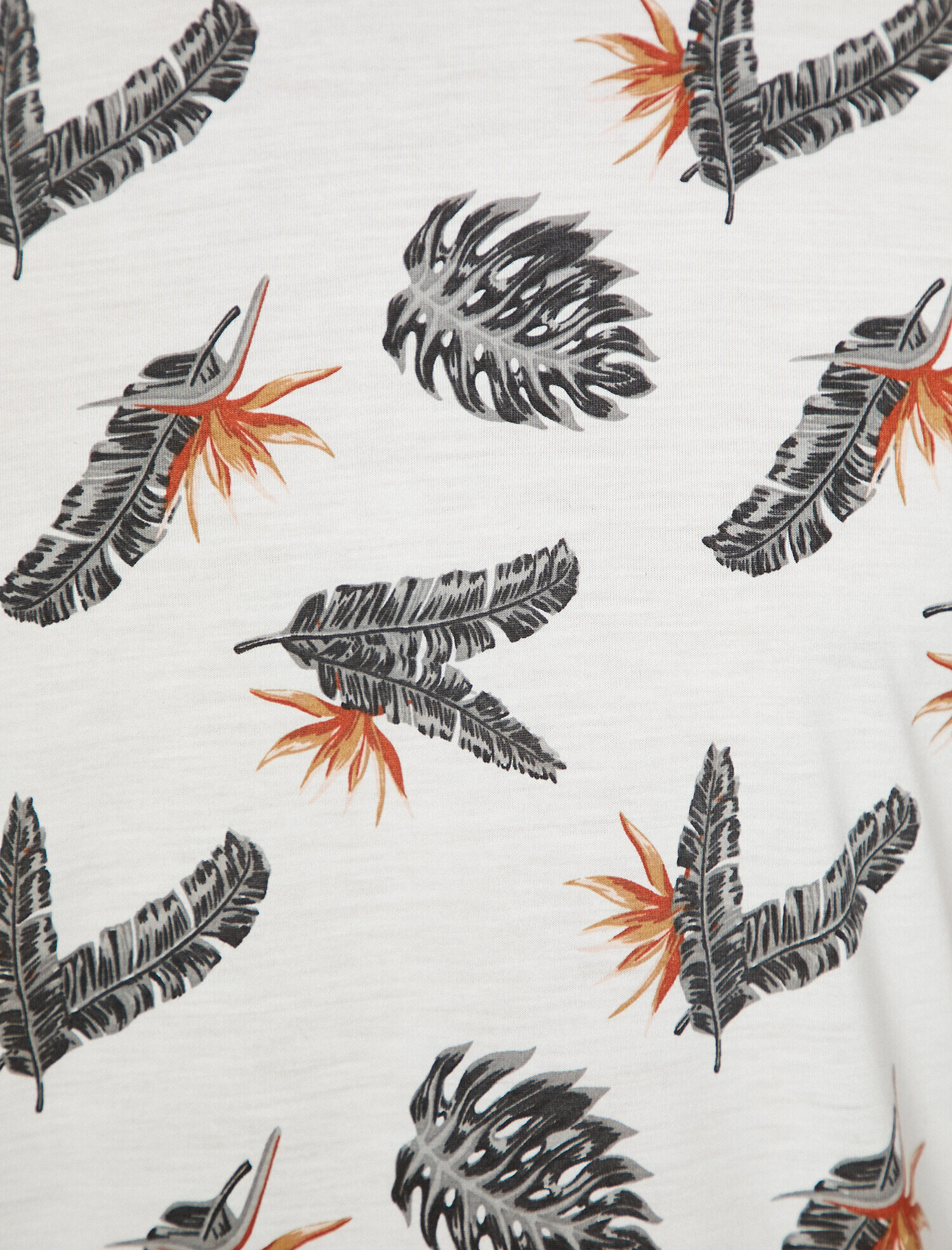   Baskılı Tişört Kısa Kollu