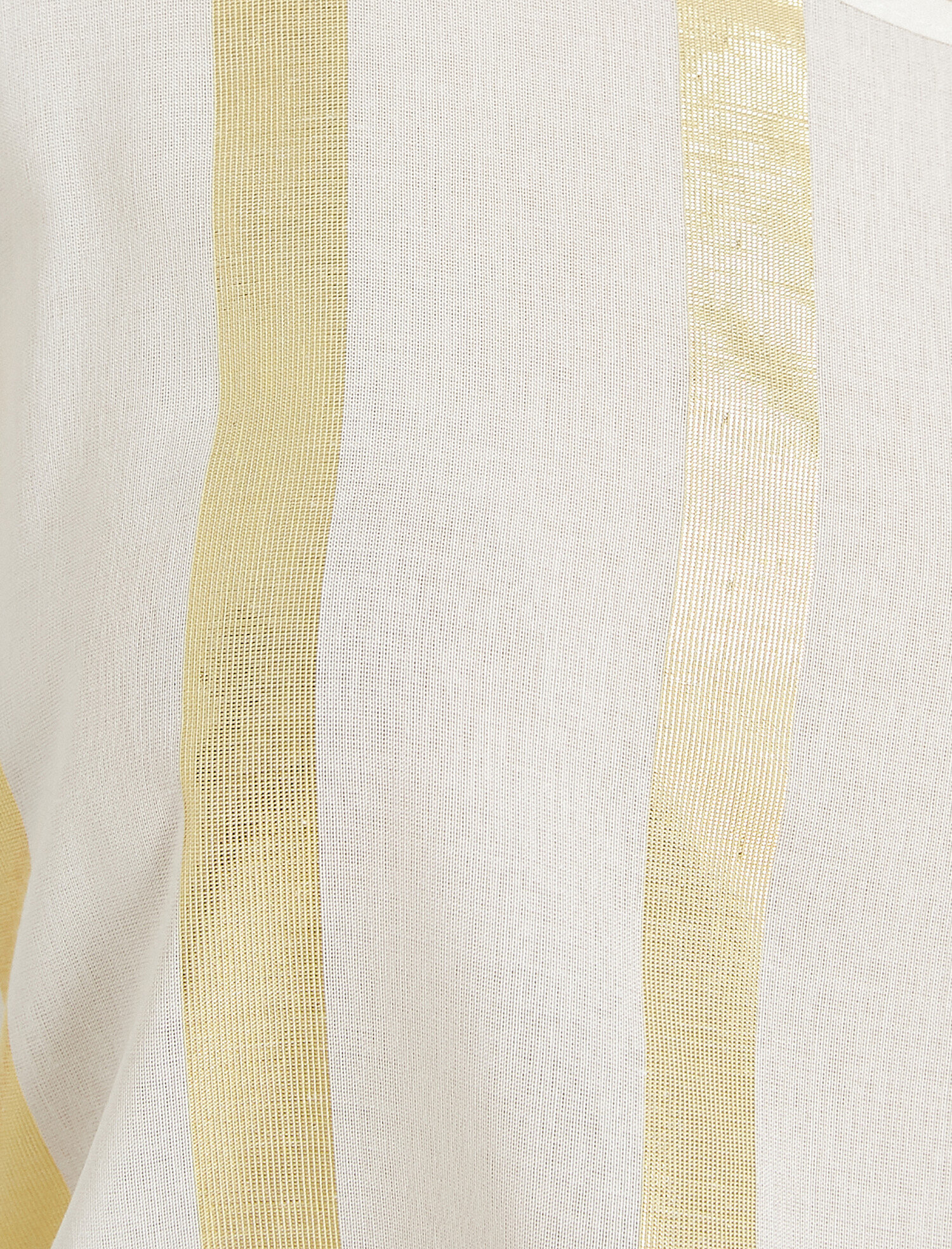   Parlak Çizgili Atlet